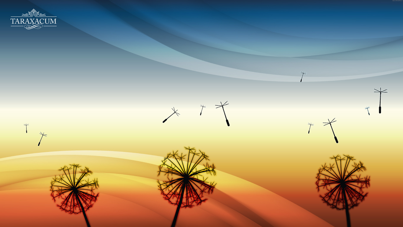 Silhouette of Birds Flying Over The Sky During Sunset. Wallpaper in 1366x768 Resolution