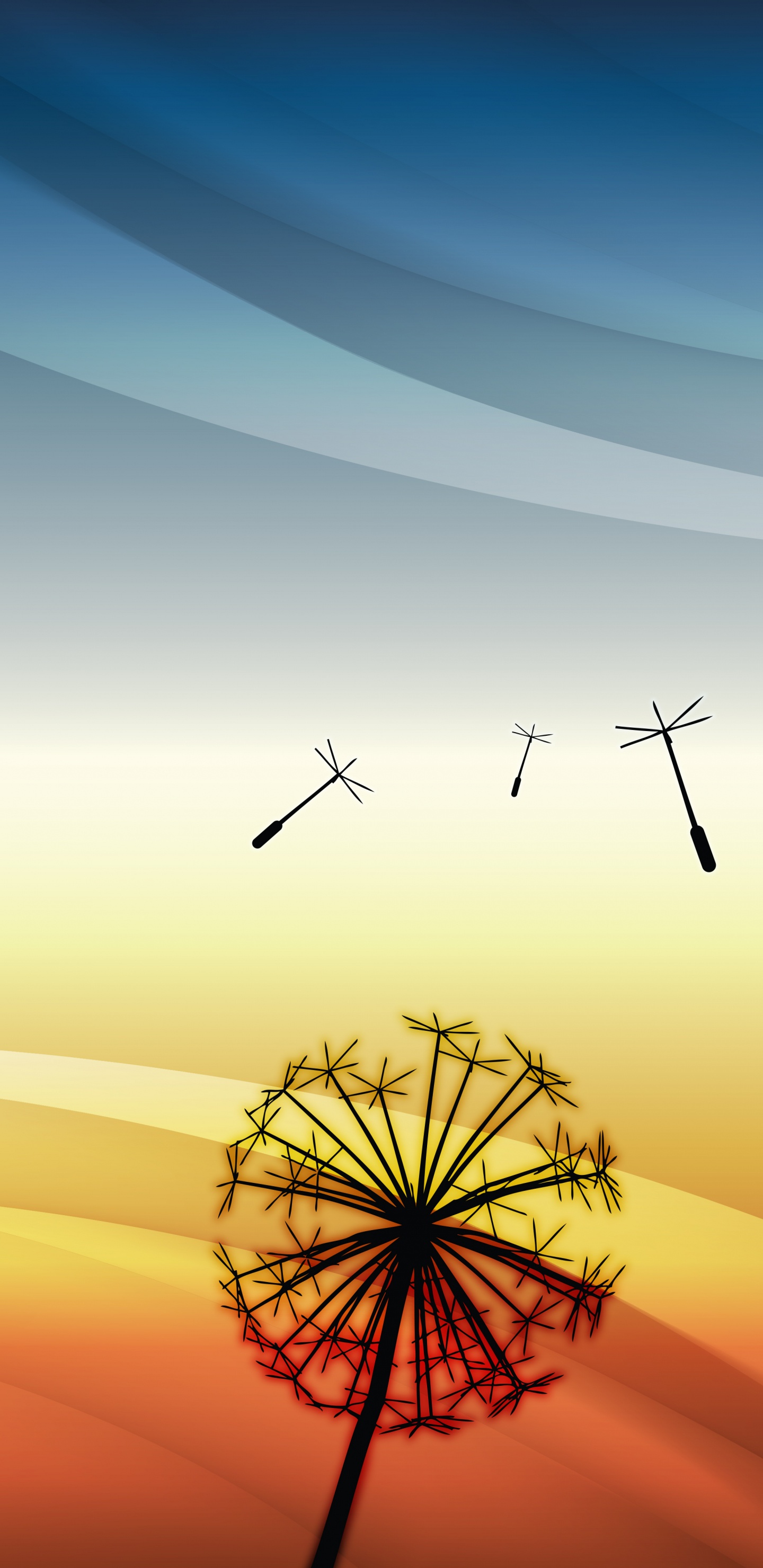 Silhouette Von Vögeln, Die Bei Sonnenuntergang Über Den Himmel Fliegen Sky. Wallpaper in 1440x2960 Resolution