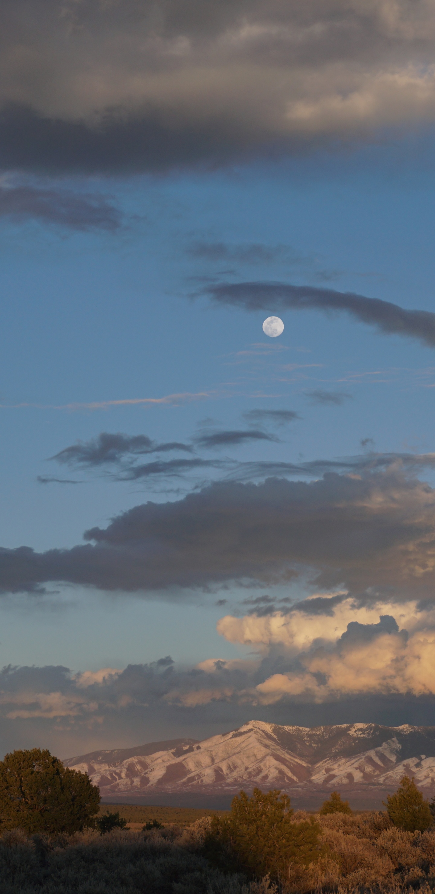 Atmosphère, Soir, la Journée, Cumulus, Horizon. Wallpaper in 1440x2960 Resolution