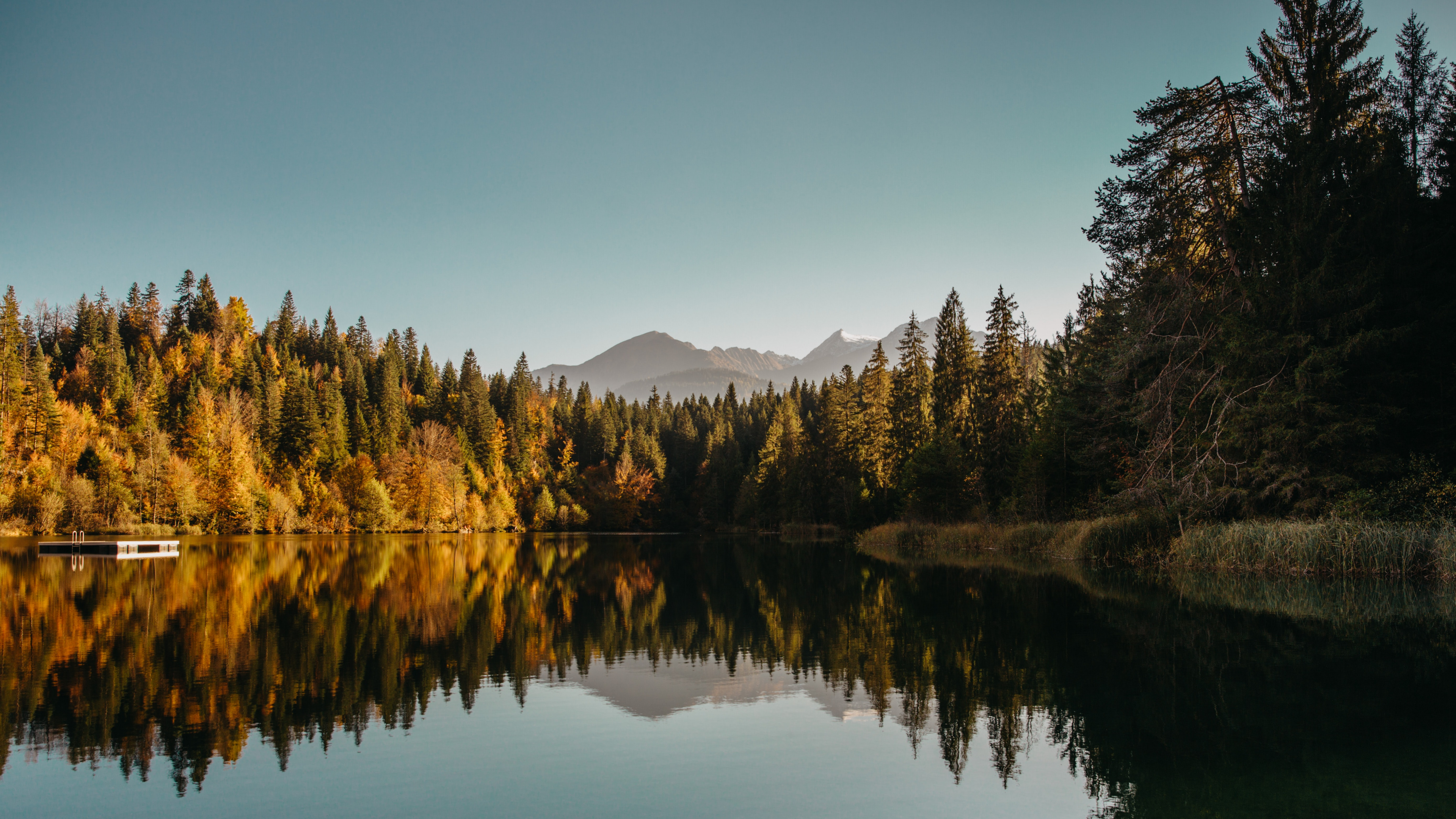 Reflexion, Wasser, Blatt, Naturlandschaft, Lärche. Wallpaper in 3840x2160 Resolution