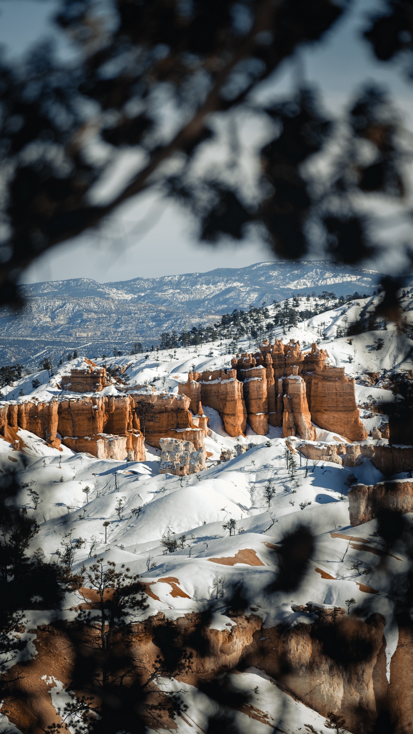 Neige, Hiver, Congélation, Paysage Naturel, Rock. Wallpaper in 1440x2560 Resolution
