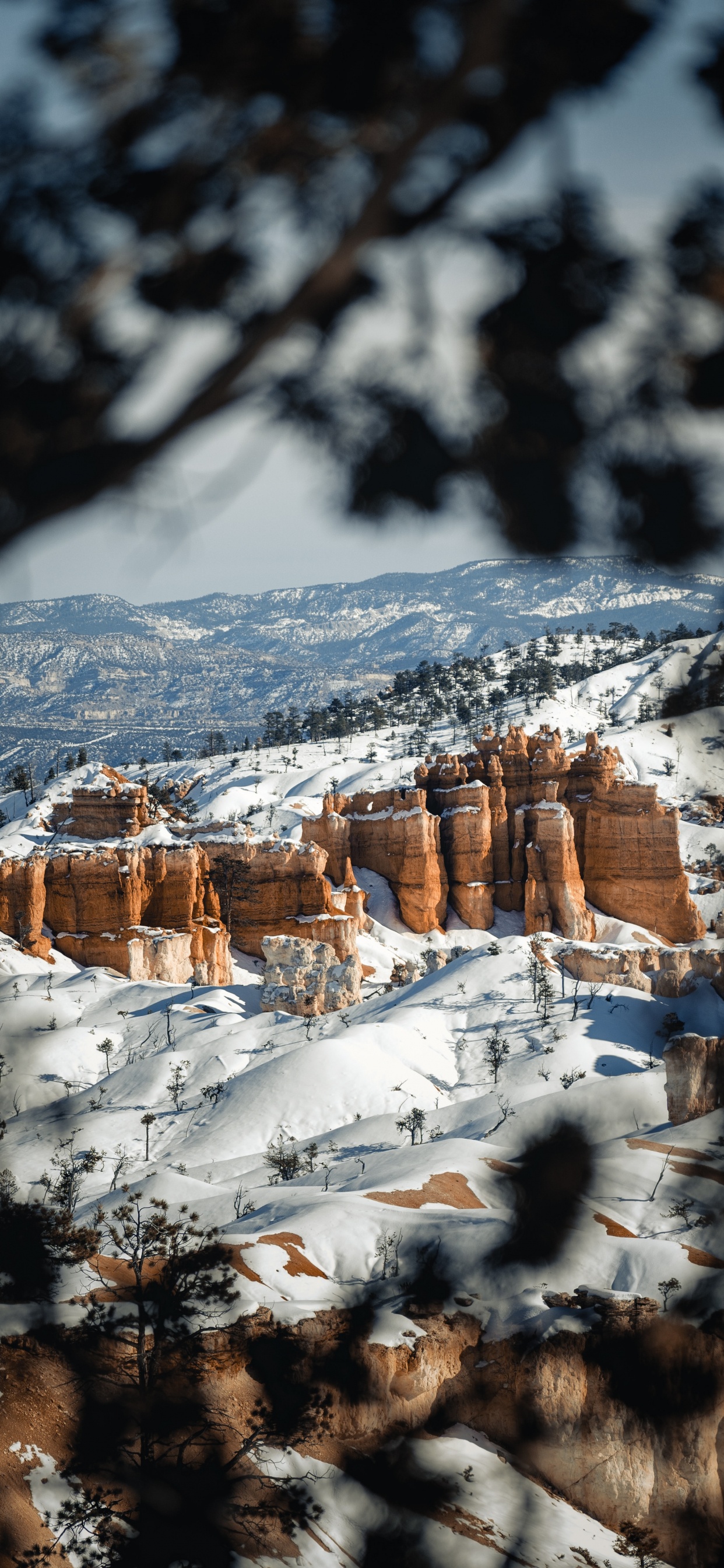 Landscape, Snow, Winter, Freezing, Natural Landscape. Wallpaper in 1242x2688 Resolution