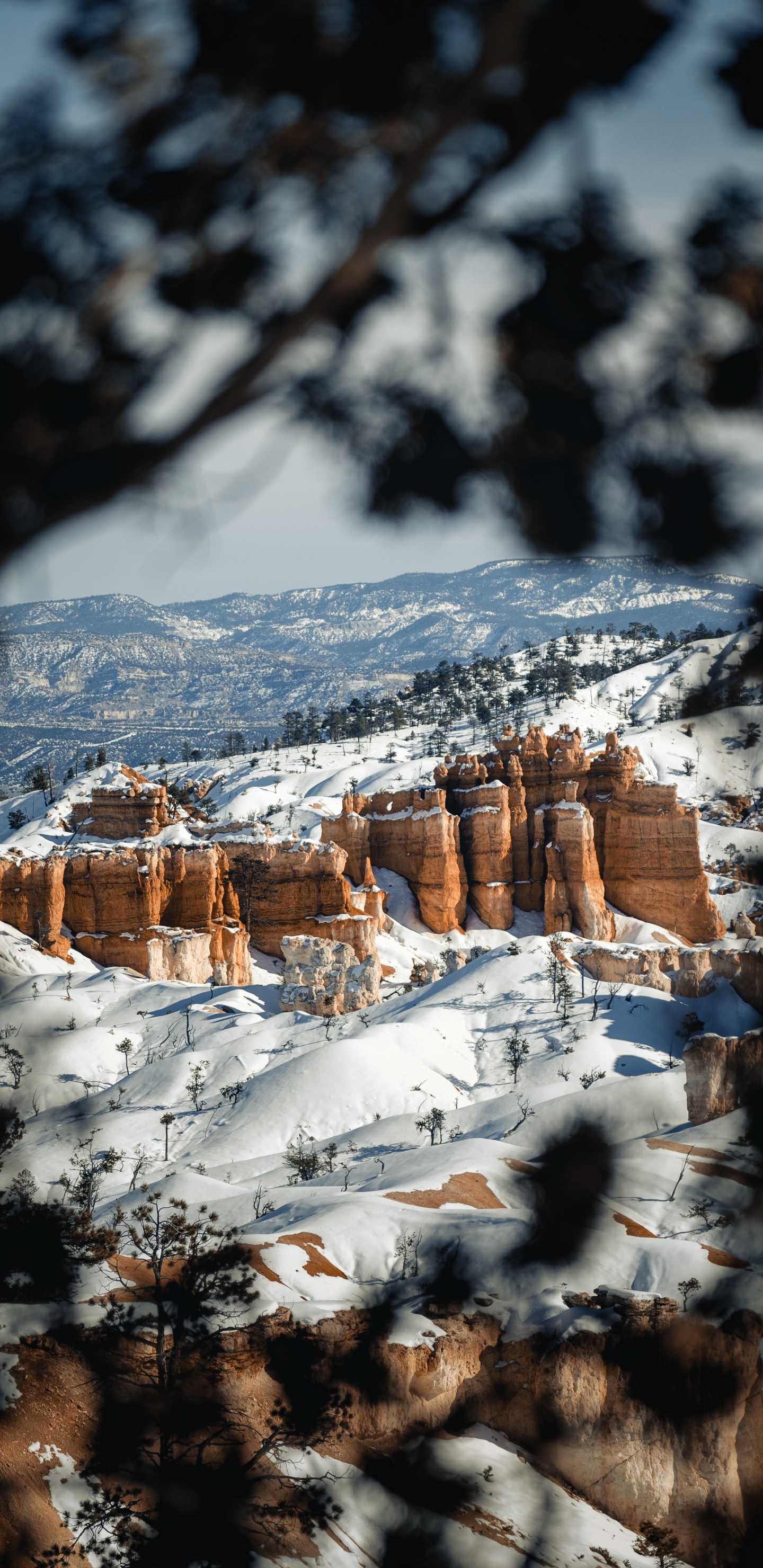 Landscape, Snow, Winter, Freezing, Natural Landscape. Wallpaper in 1440x2960 Resolution