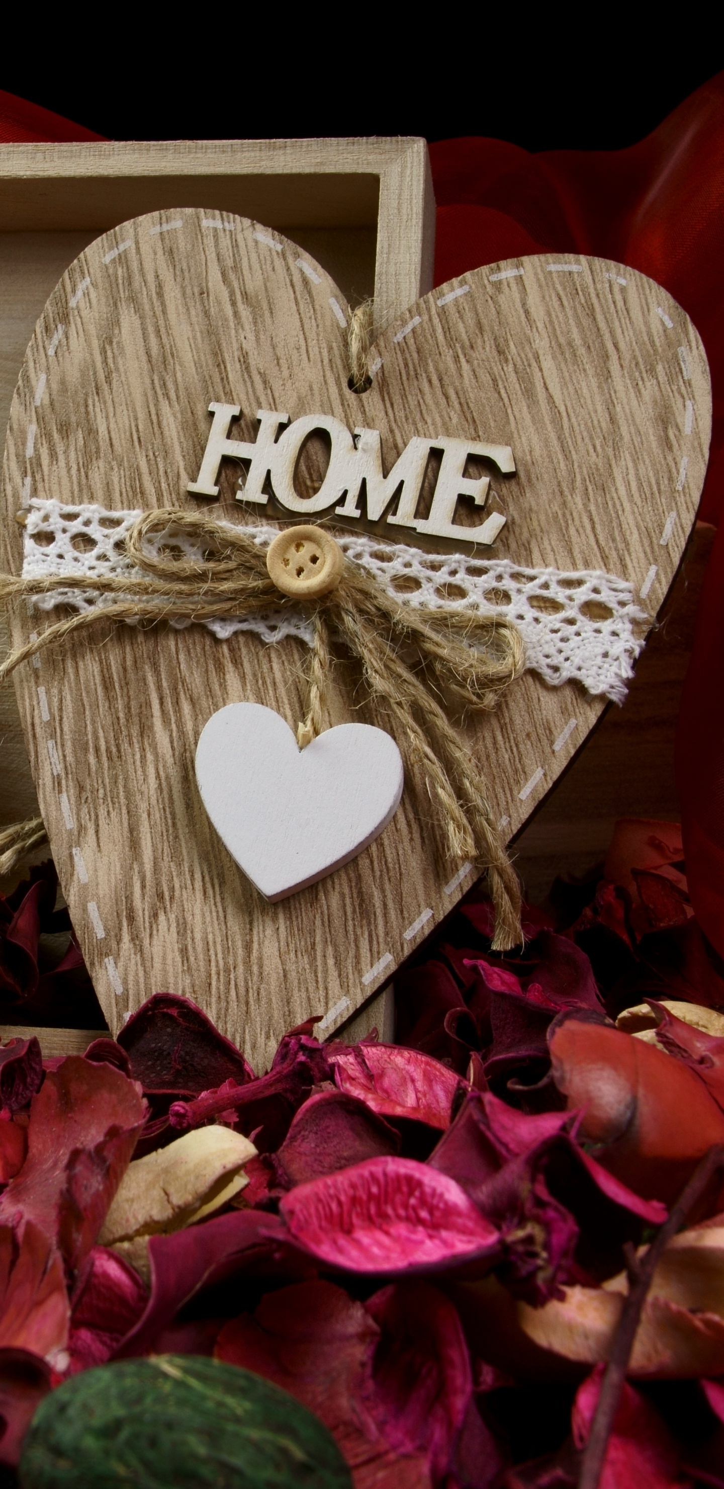 Cœur, Amie, Pétale, le Jour de Valentines, Amour. Wallpaper in 1440x2960 Resolution