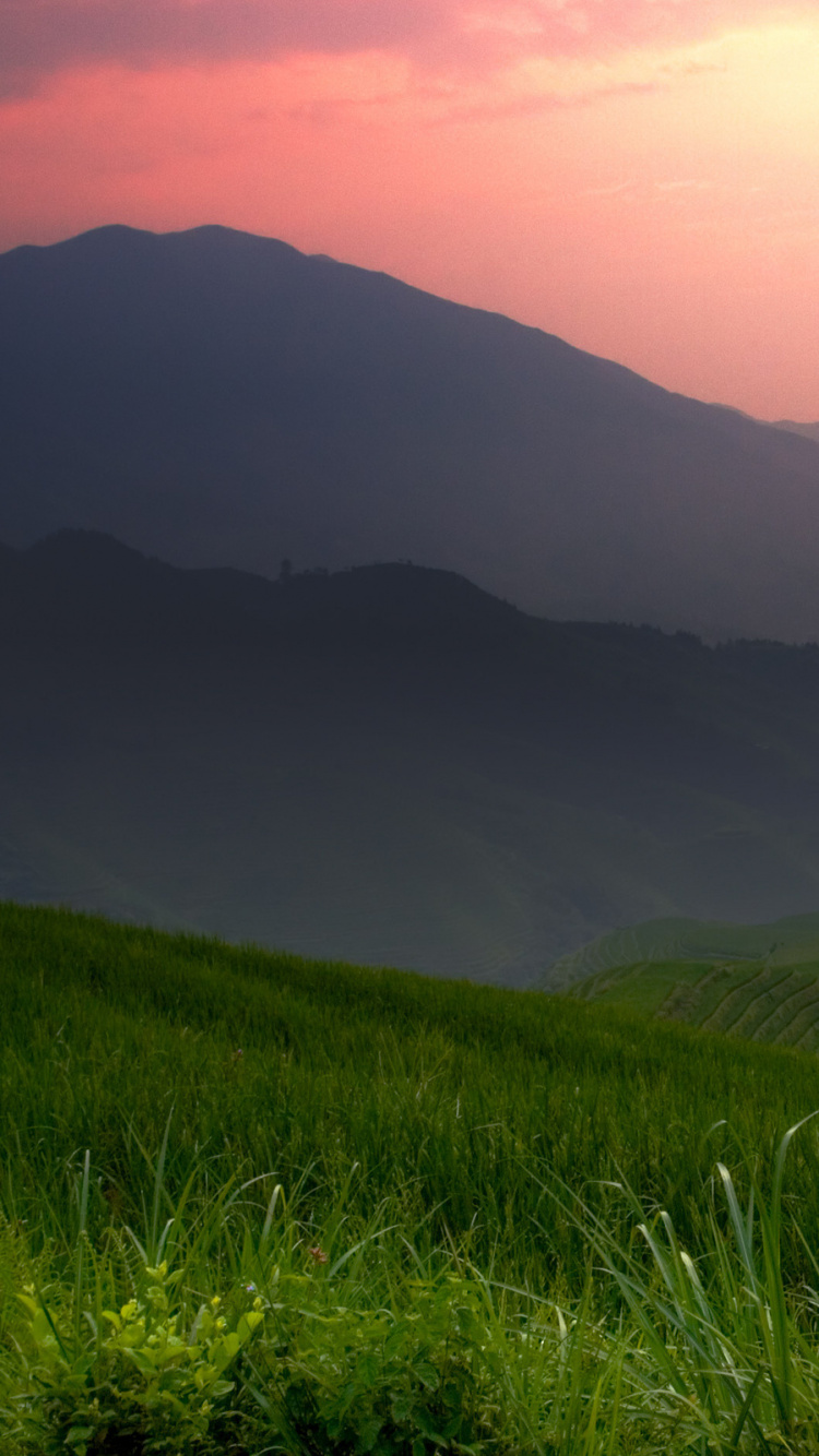 Green Grass Field Near Mountain During Daytime. Wallpaper in 750x1334 Resolution
