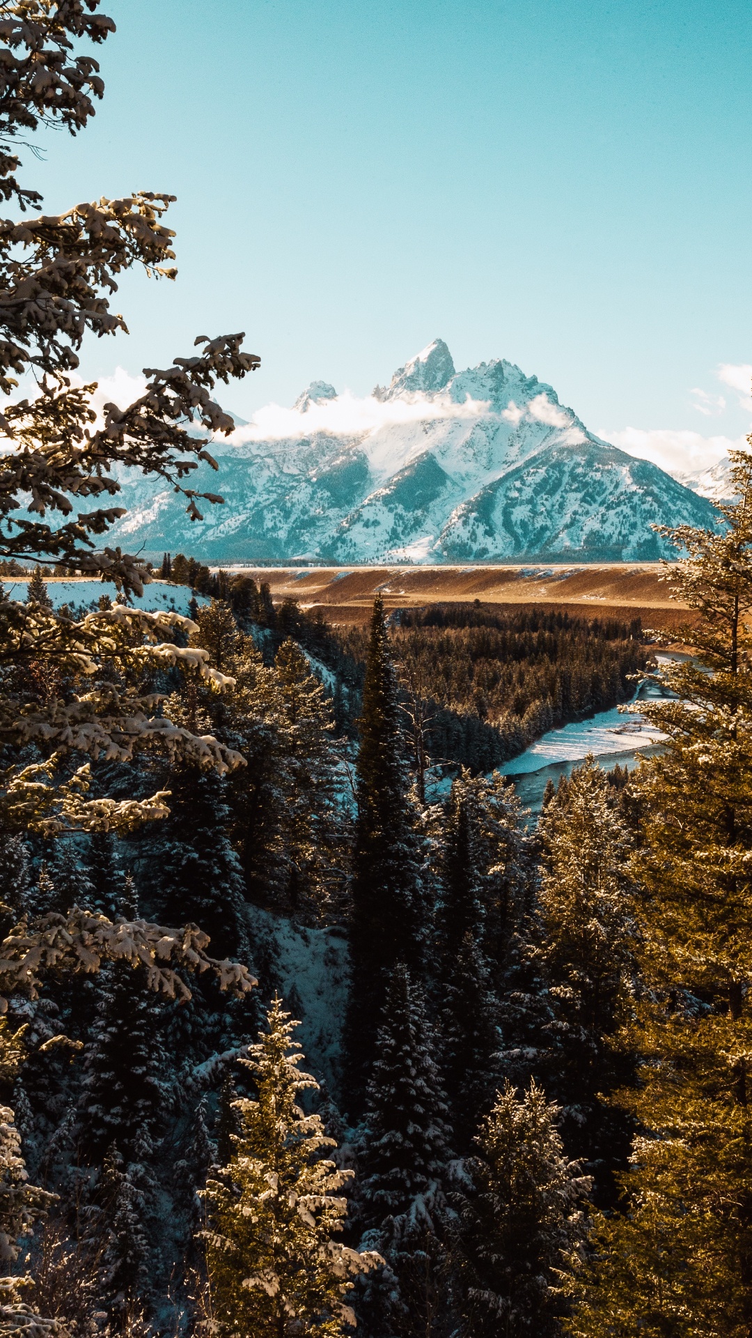 el Parque Nacional Grand Teton, Las Formaciones Montañosas, Paisaje Natural, Bioma, Parque. Wallpaper in 1080x1920 Resolution