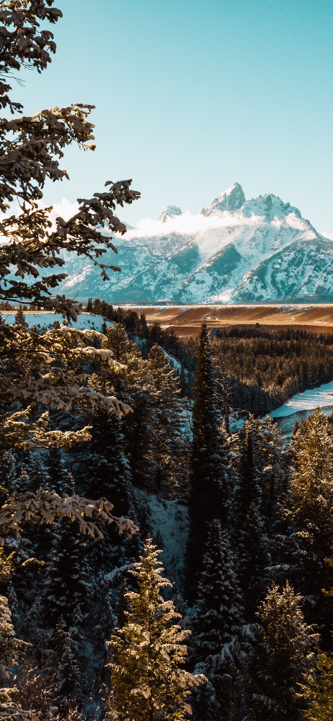 el Parque Nacional Grand Teton, Las Formaciones Montañosas, Paisaje Natural, Bioma, Parque. Wallpaper in 1125x2436 Resolution