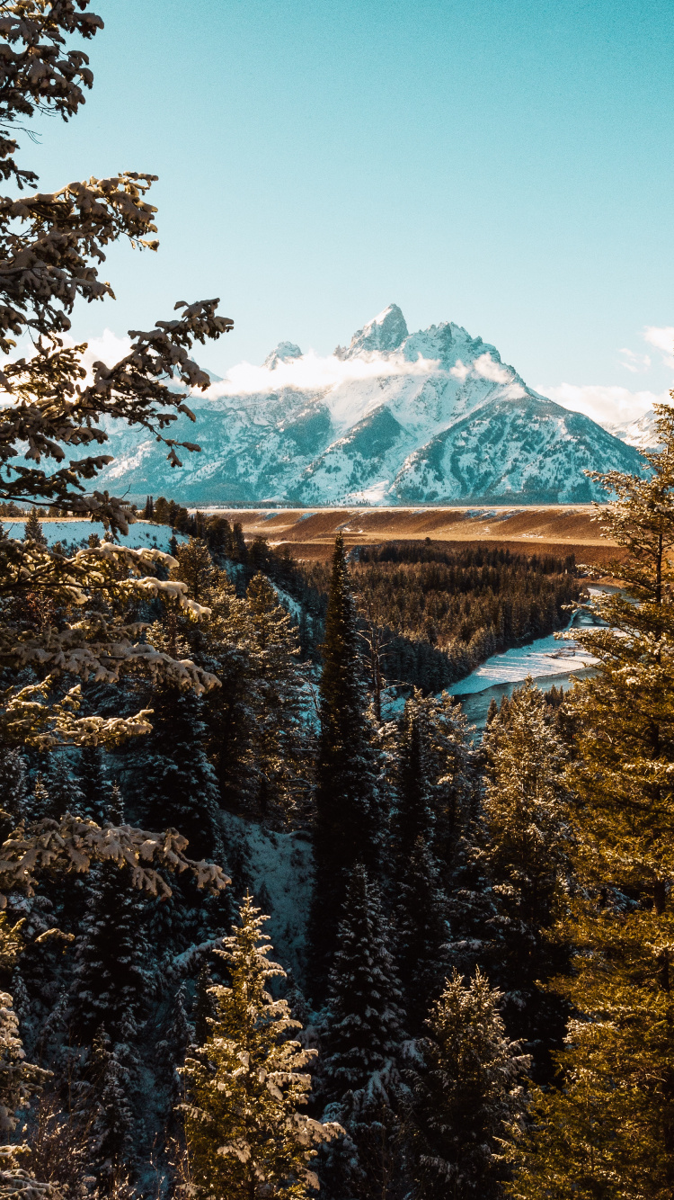 el Parque Nacional Grand Teton, Las Formaciones Montañosas, Paisaje Natural, Bioma, Parque. Wallpaper in 750x1334 Resolution