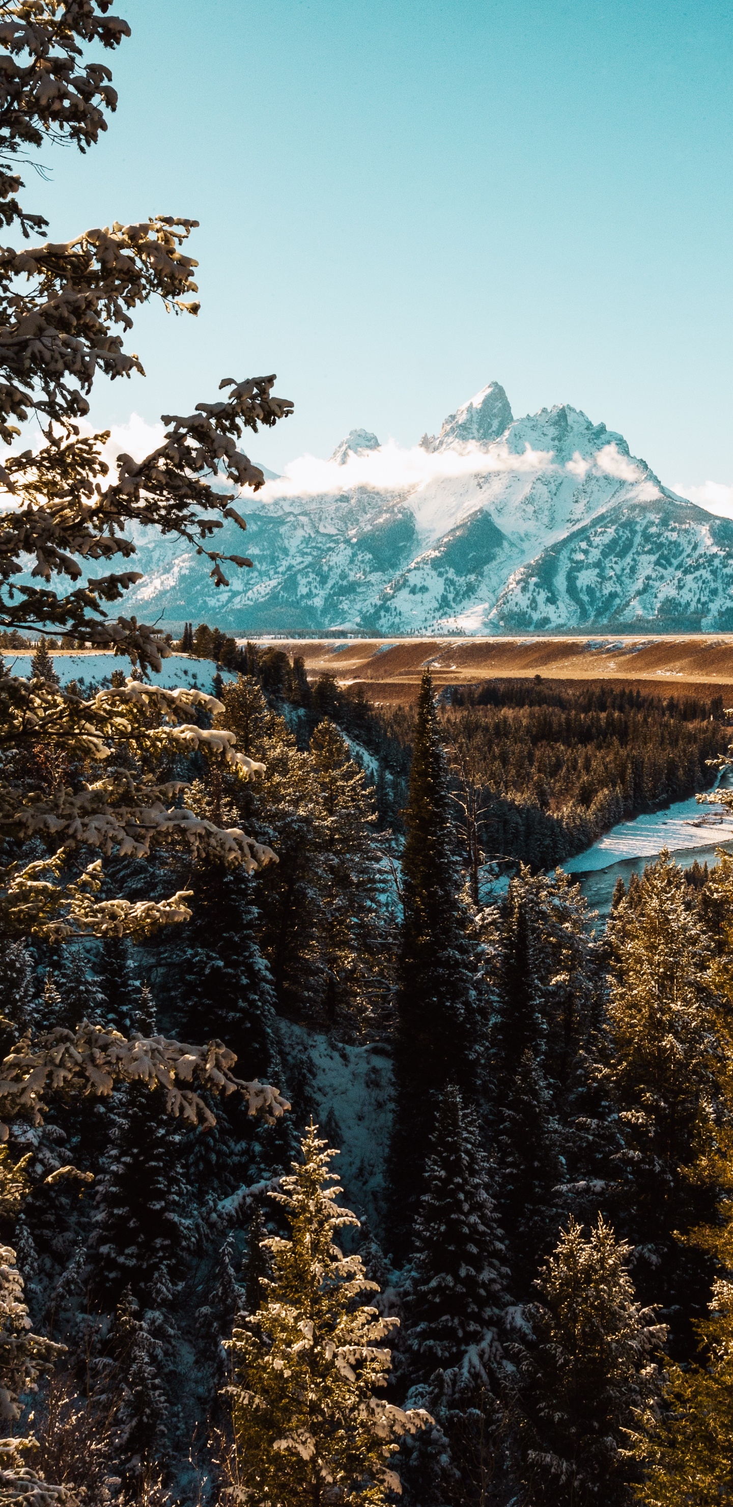 Grand Teton National Park, Mountainous Landforms, Natural Landscape, Biome, Sky. Wallpaper in 1440x2960 Resolution