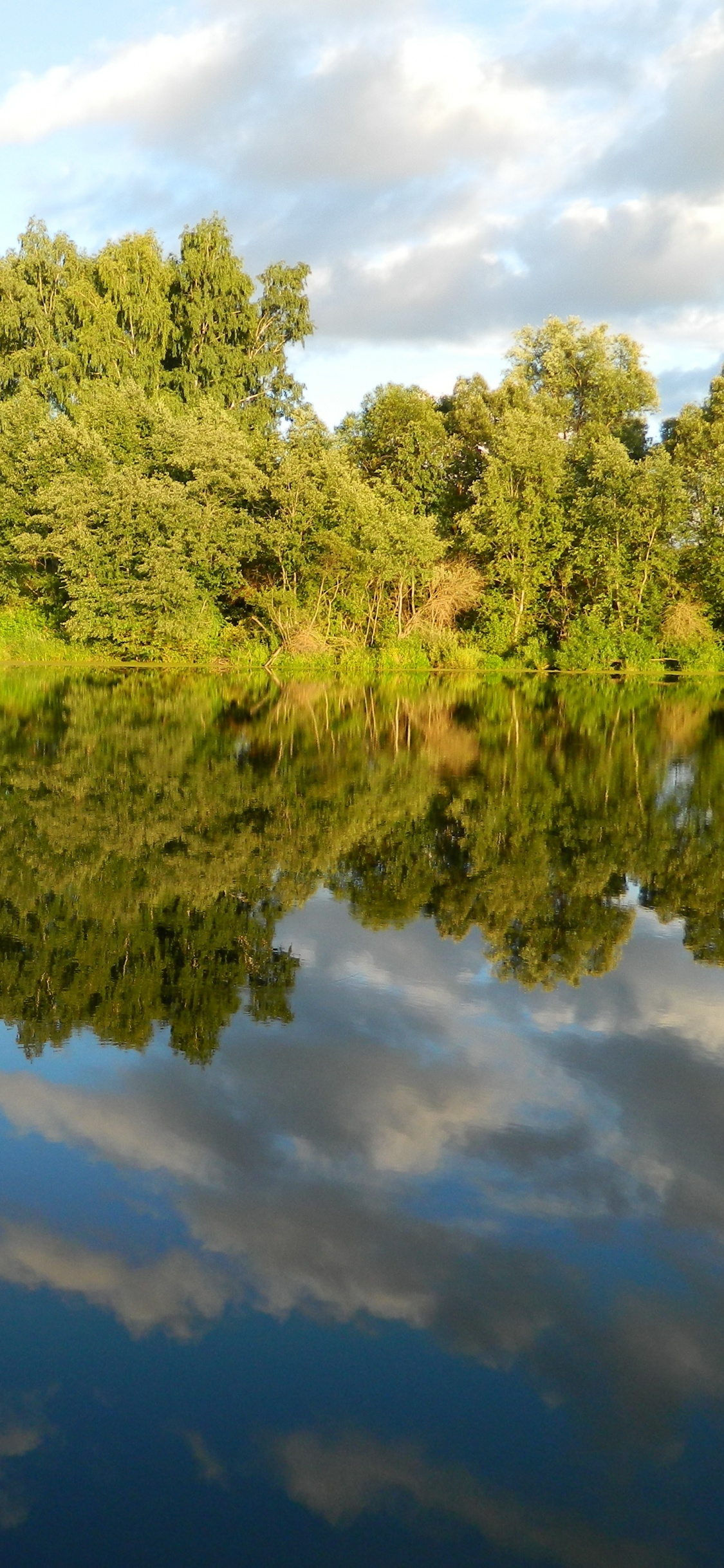 Green Trees Beside Body of Water During Daytime. Wallpaper in 1125x2436 Resolution