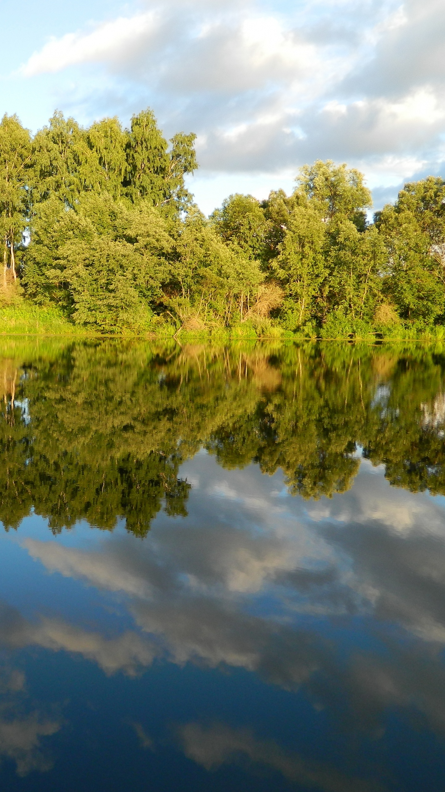 Green Trees Beside Body of Water During Daytime. Wallpaper in 1440x2560 Resolution