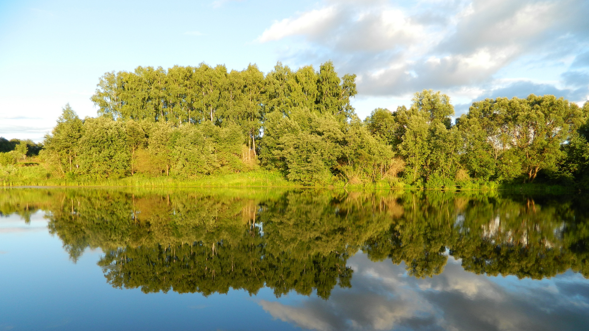 Green Trees Beside Body of Water During Daytime. Wallpaper in 1920x1080 Resolution