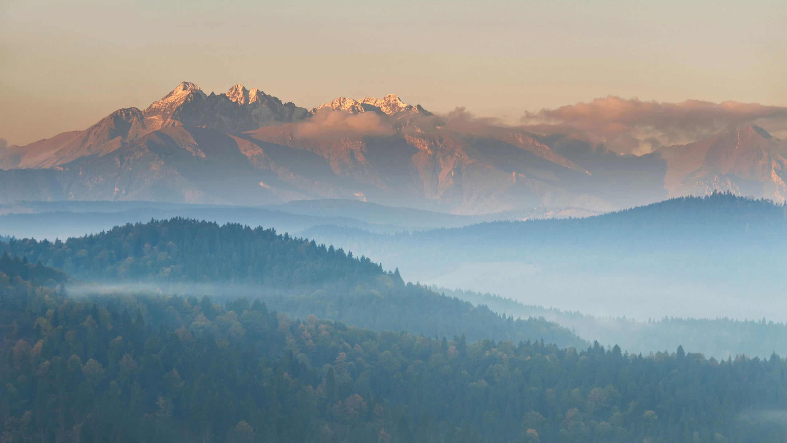 Centre Des Sciences de Californie, Foothills, Nature, Neige, Atmosphère. Wallpaper in 2560x1440 Resolution