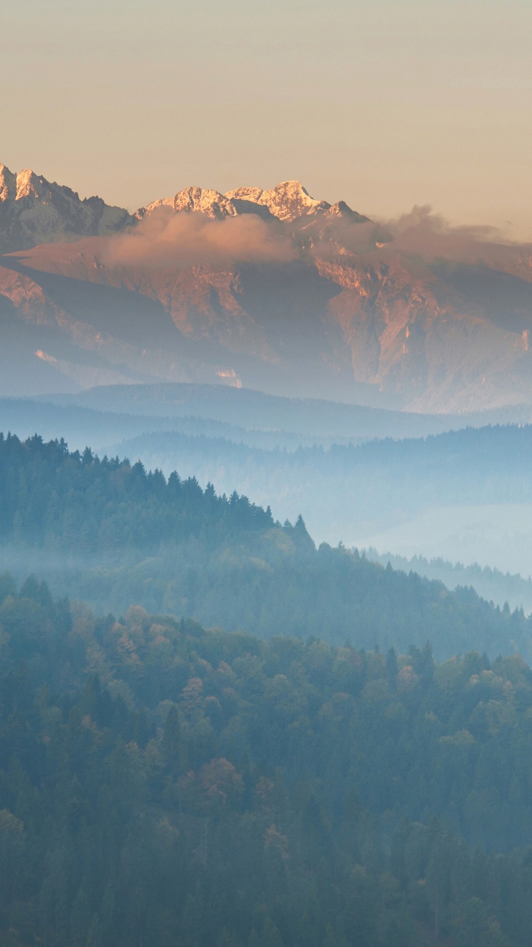 Kalifornisches Wissenschaftszentrum, Vorgebirge, Natur, Schnee, Baum. Wallpaper in 1080x1920 Resolution
