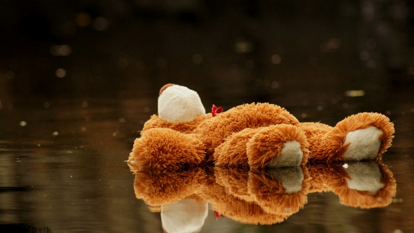 Orange and White Fur Textile. Wallpaper in 1366x768 Resolution