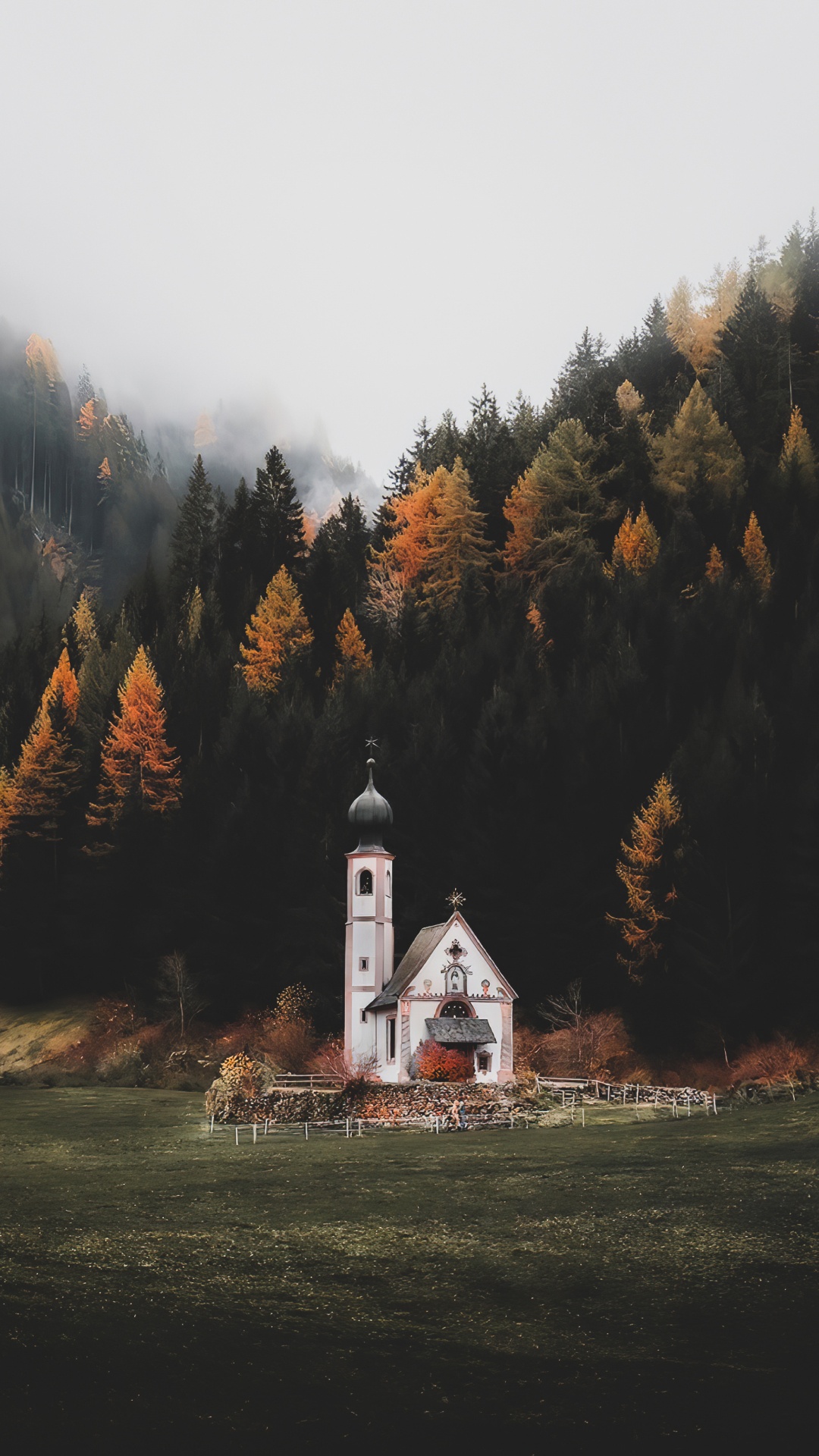 Naturaleza, Ventana, Paisaje Natural, Alerce. Wallpaper in 1080x1920 Resolution