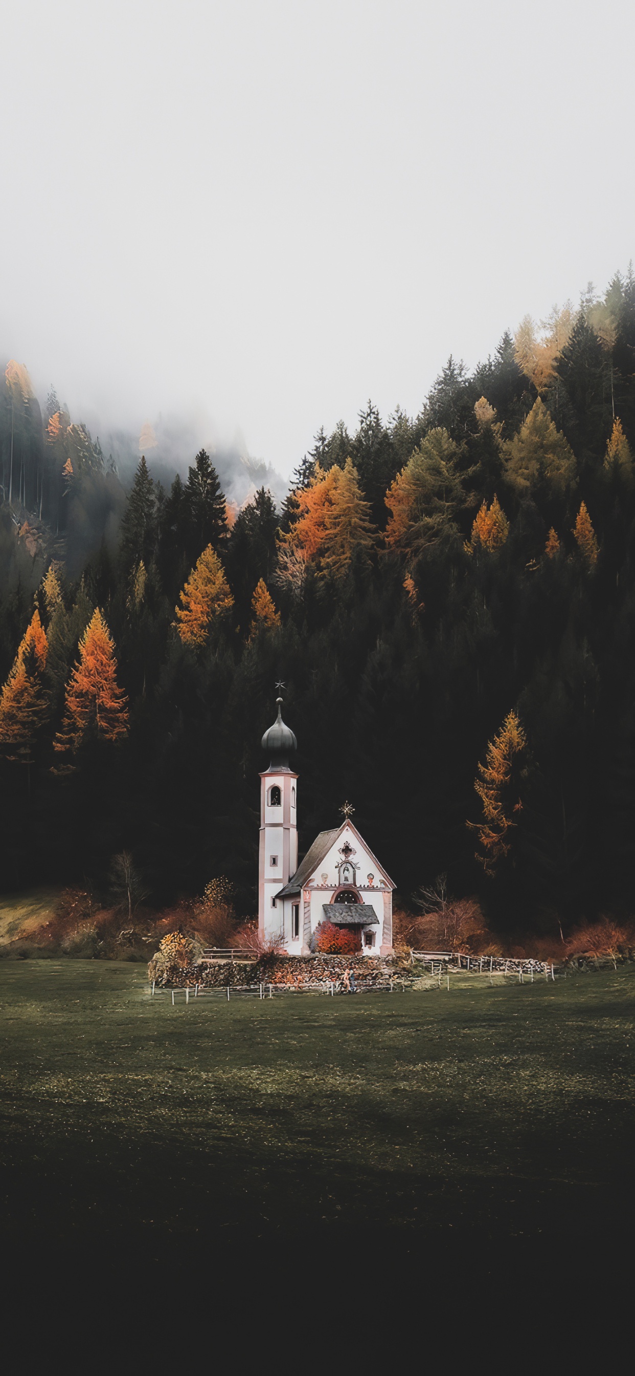 Nature, Plant, Window, Natural Landscape, Tree. Wallpaper in 1242x2688 Resolution