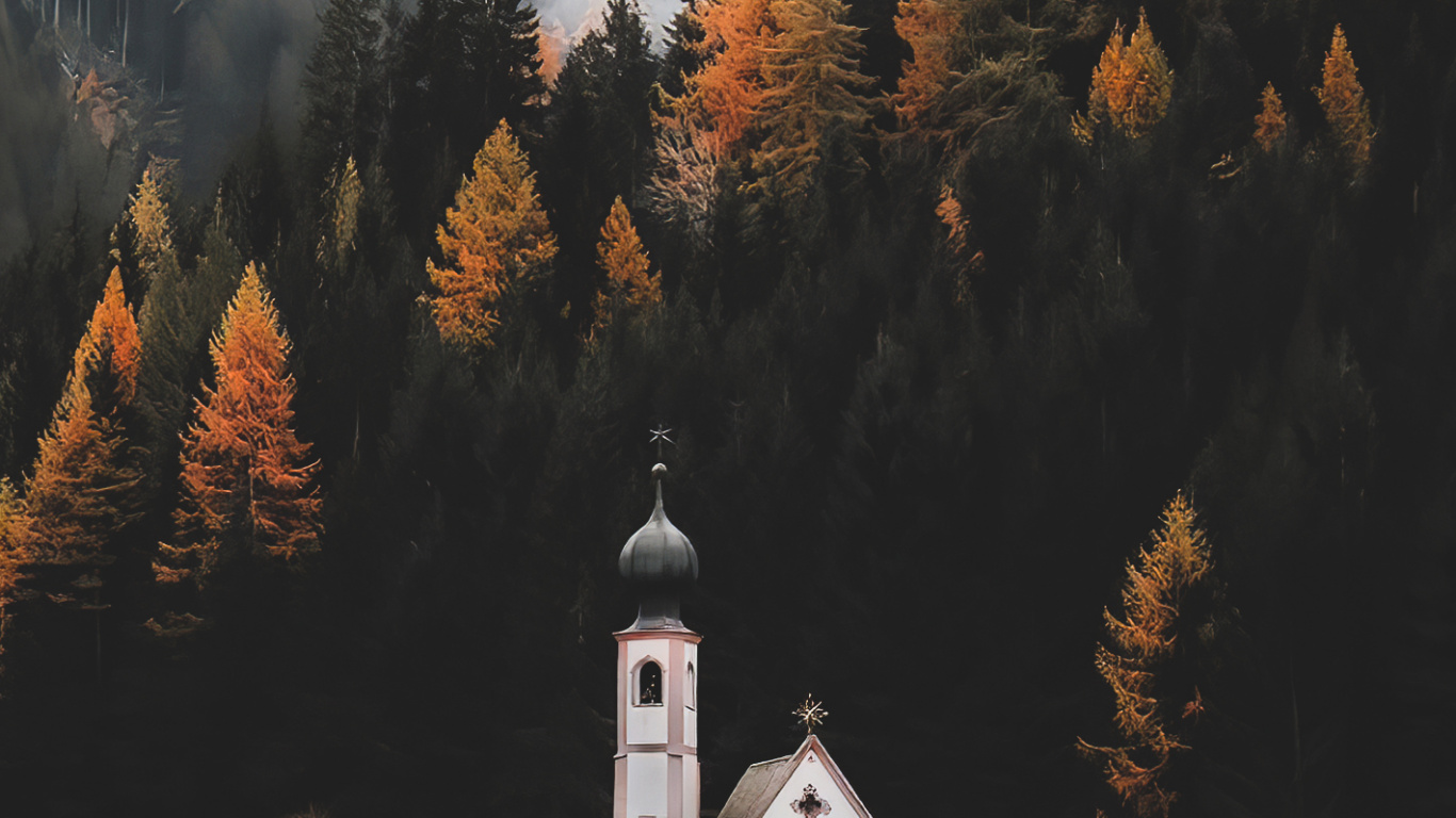 Nature, Plant, Window, Natural Landscape, Tree. Wallpaper in 1366x768 Resolution