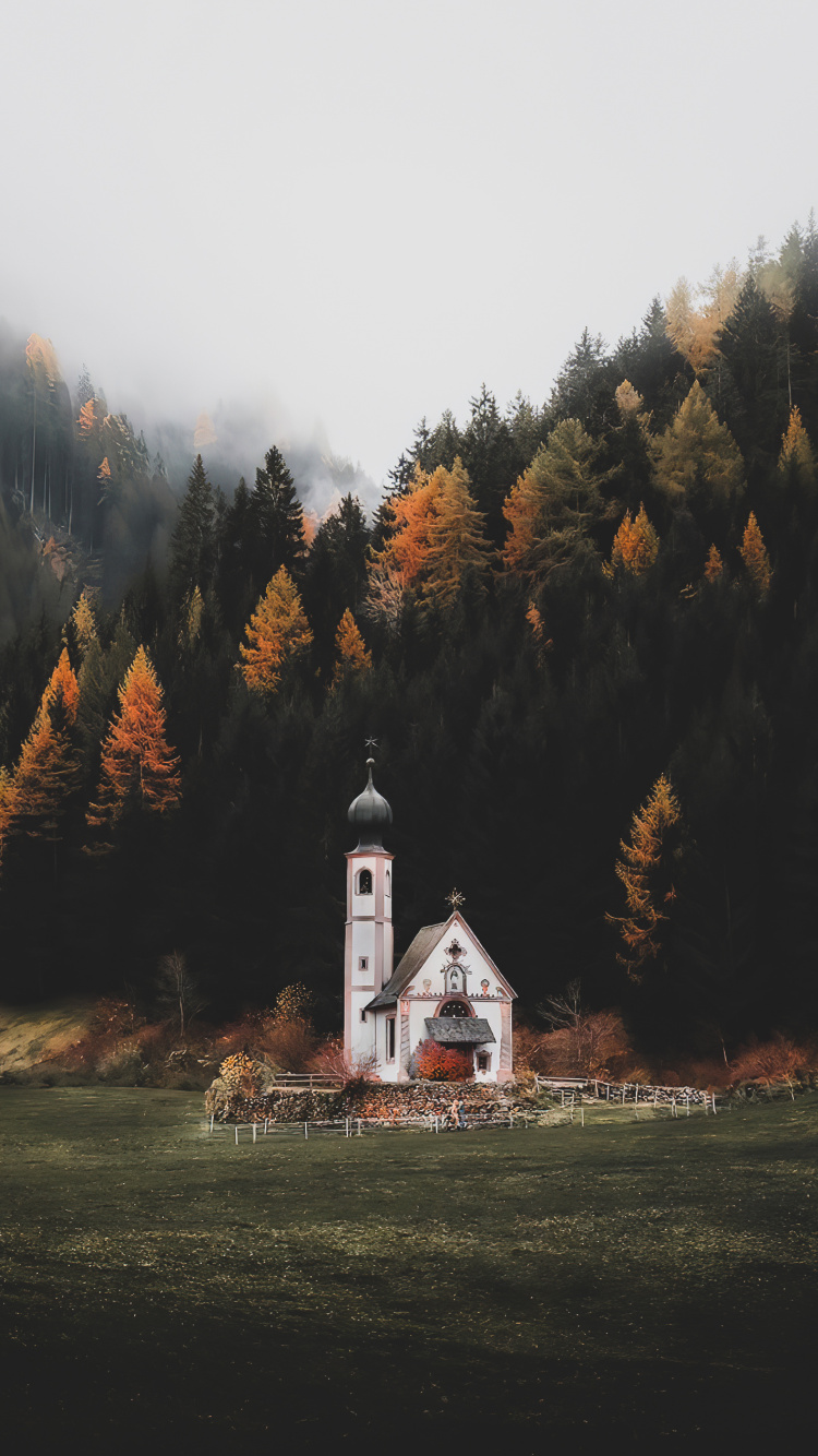 Nature, Plant, Window, Natural Landscape, Tree. Wallpaper in 750x1334 Resolution