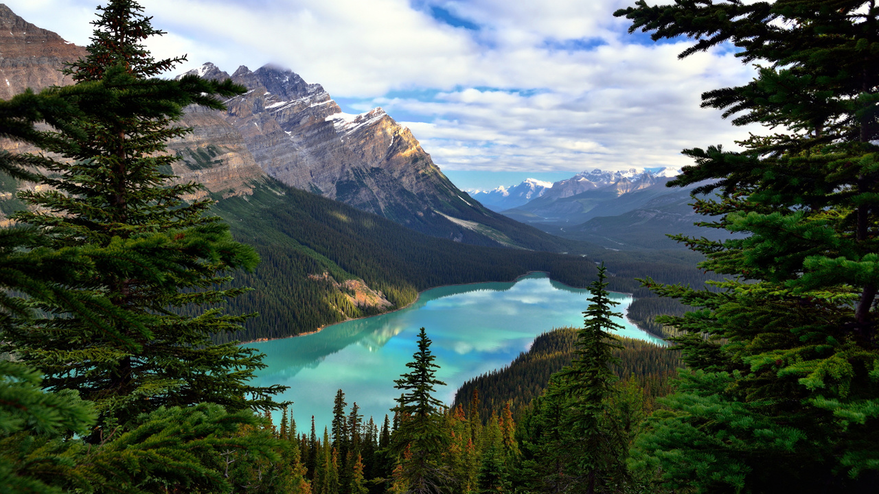 Green Pine Trees Near Lake Under Blue Sky During Daytime. Wallpaper in 1280x720 Resolution