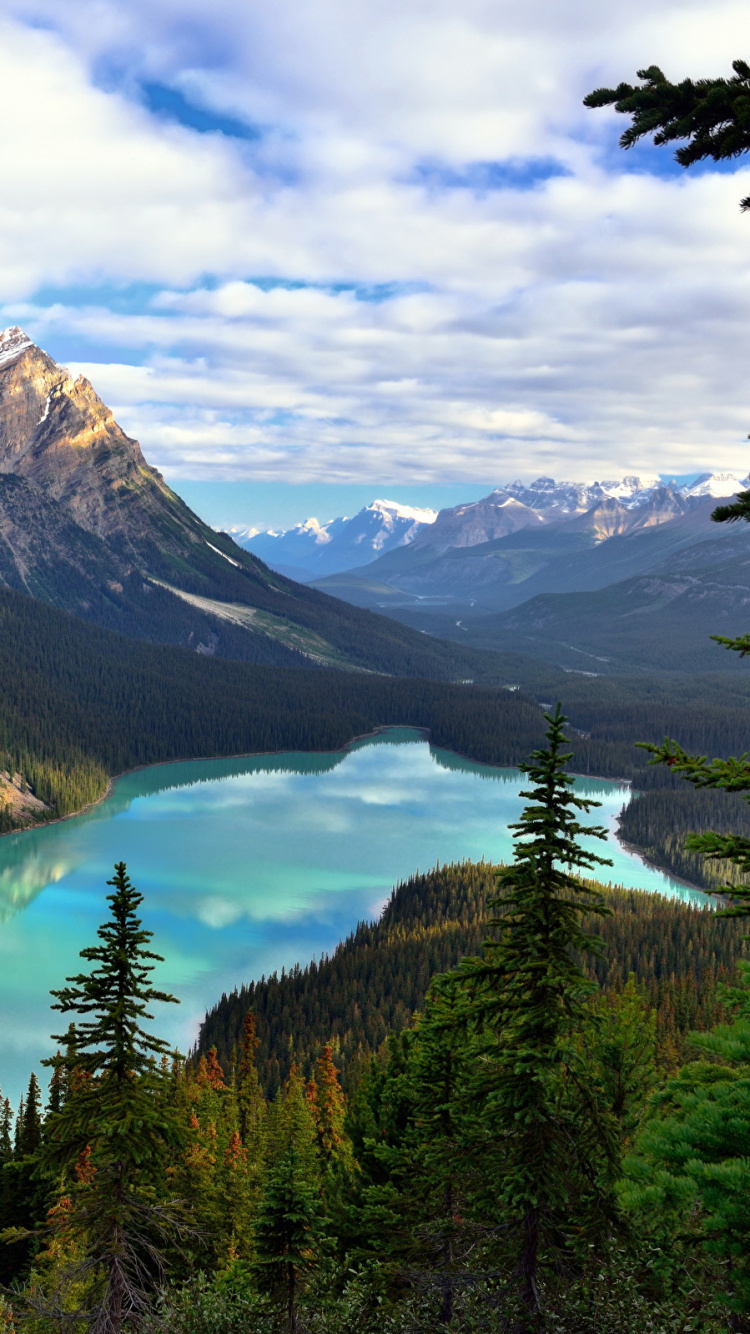 Green Pine Trees Near Lake Under Blue Sky During Daytime. Wallpaper in 750x1334 Resolution