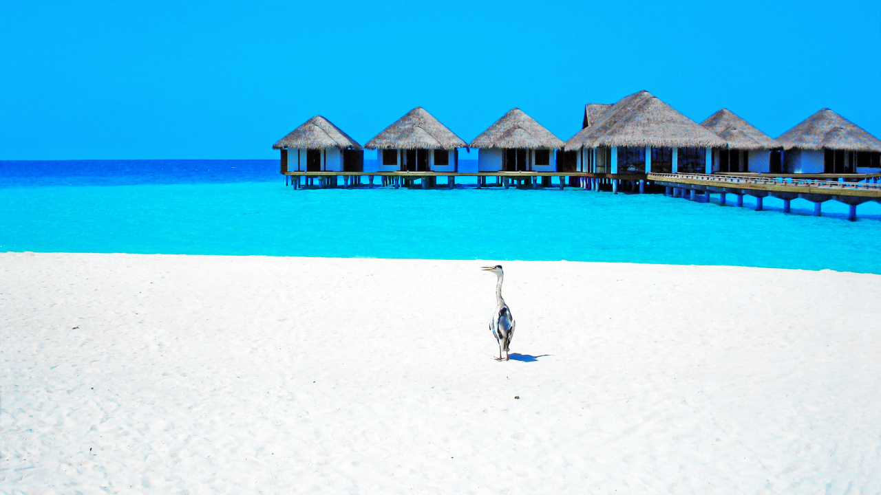 Person Walking on Beach During Daytime. Wallpaper in 1280x720 Resolution