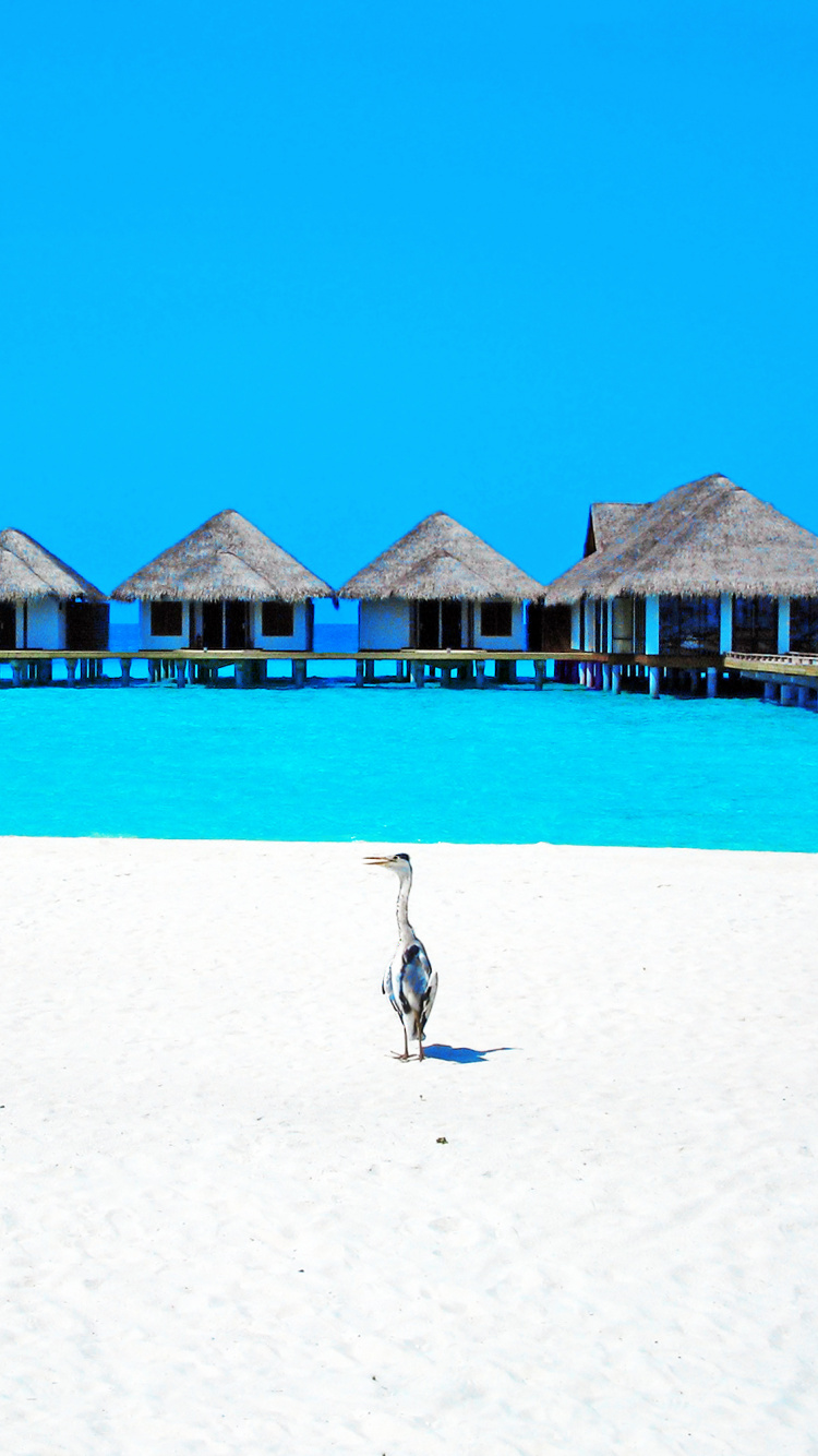 Person Walking on Beach During Daytime. Wallpaper in 750x1334 Resolution