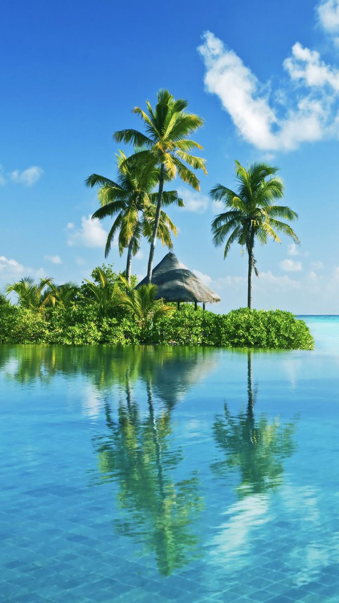 Green Palm Trees on Island During Daytime. Wallpaper in 1080x1920 Resolution