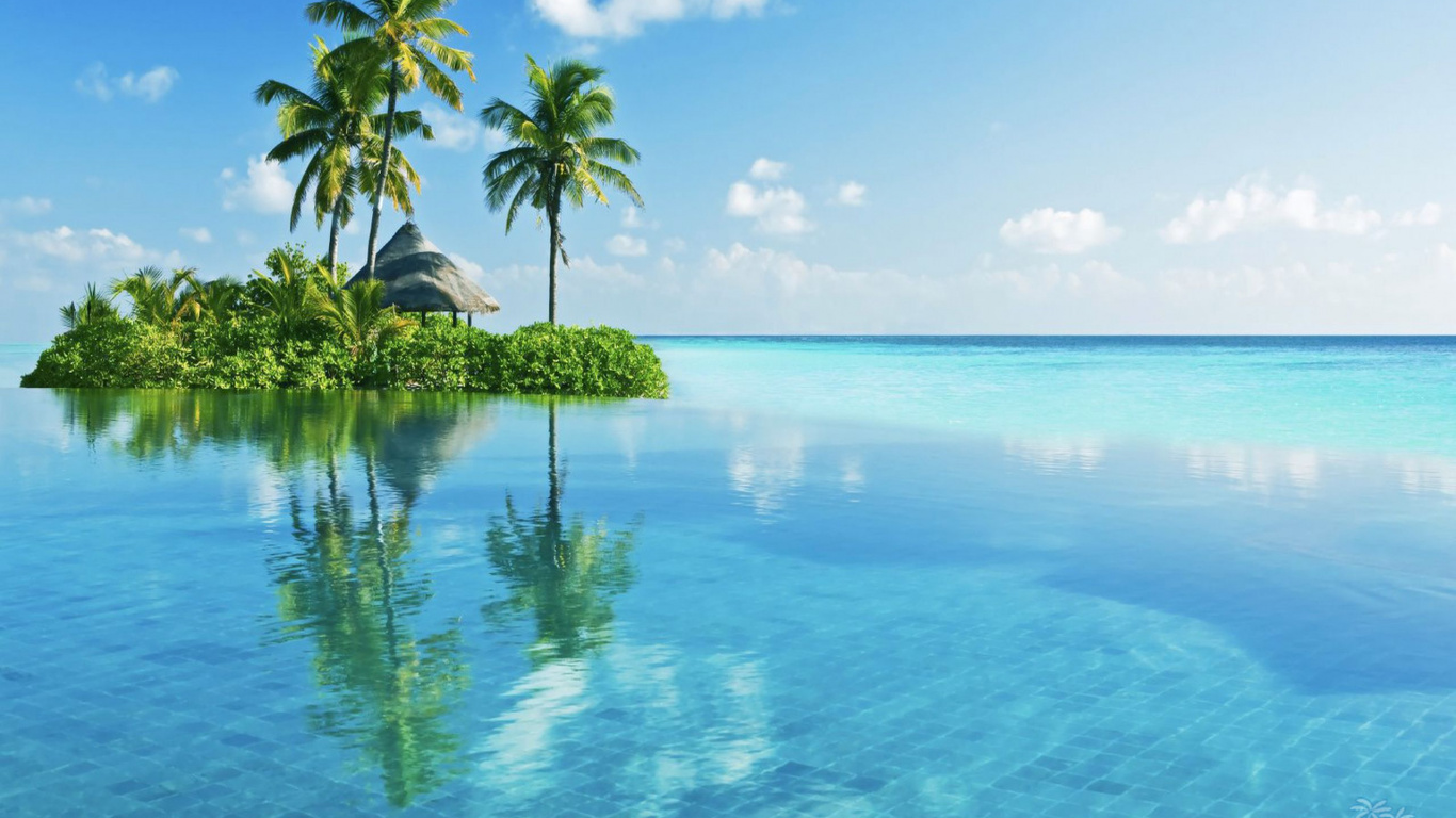 Green Palm Trees on Island During Daytime. Wallpaper in 1366x768 Resolution