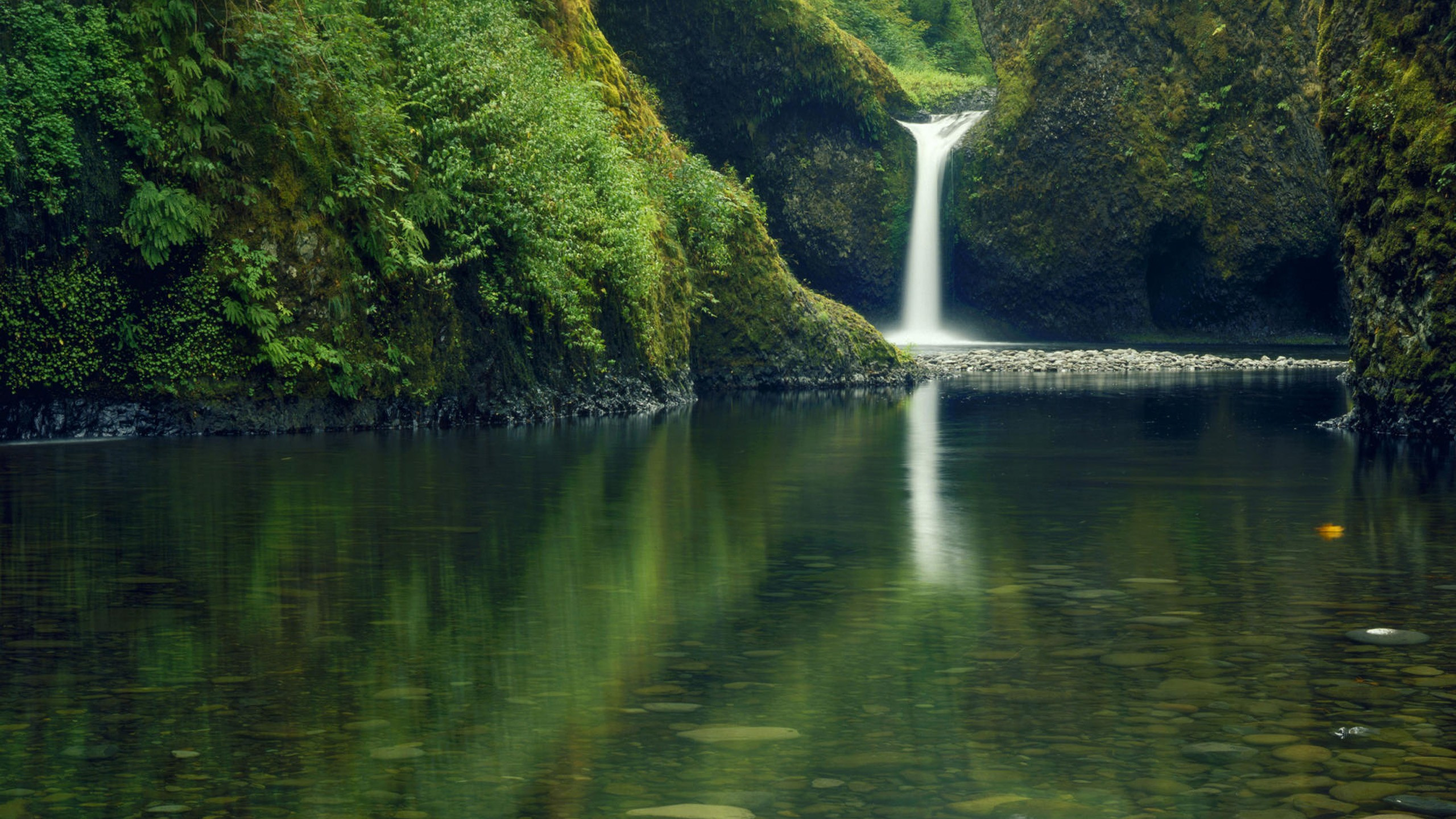 Green and White Water Falls. Wallpaper in 2560x1440 Resolution