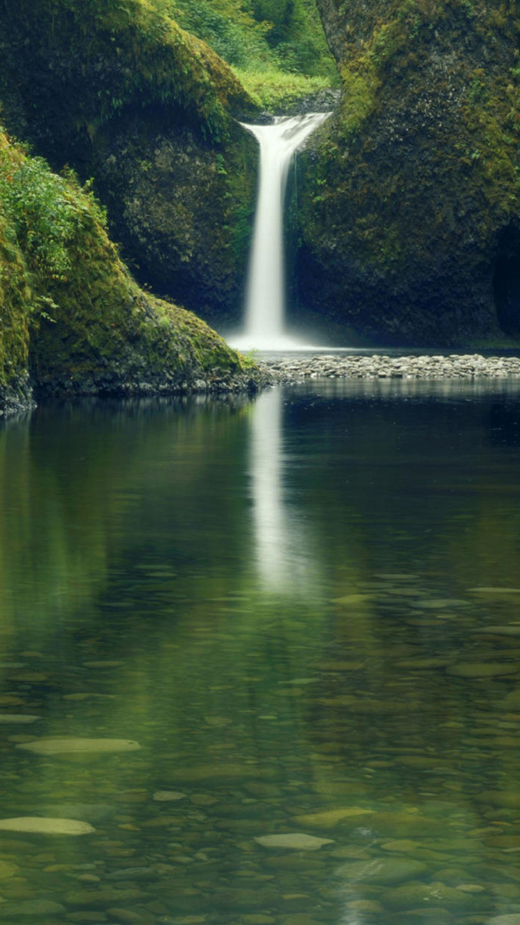 人体内的水, 水资源, 性质, 绿色的, 水道 壁纸 750x1334 允许