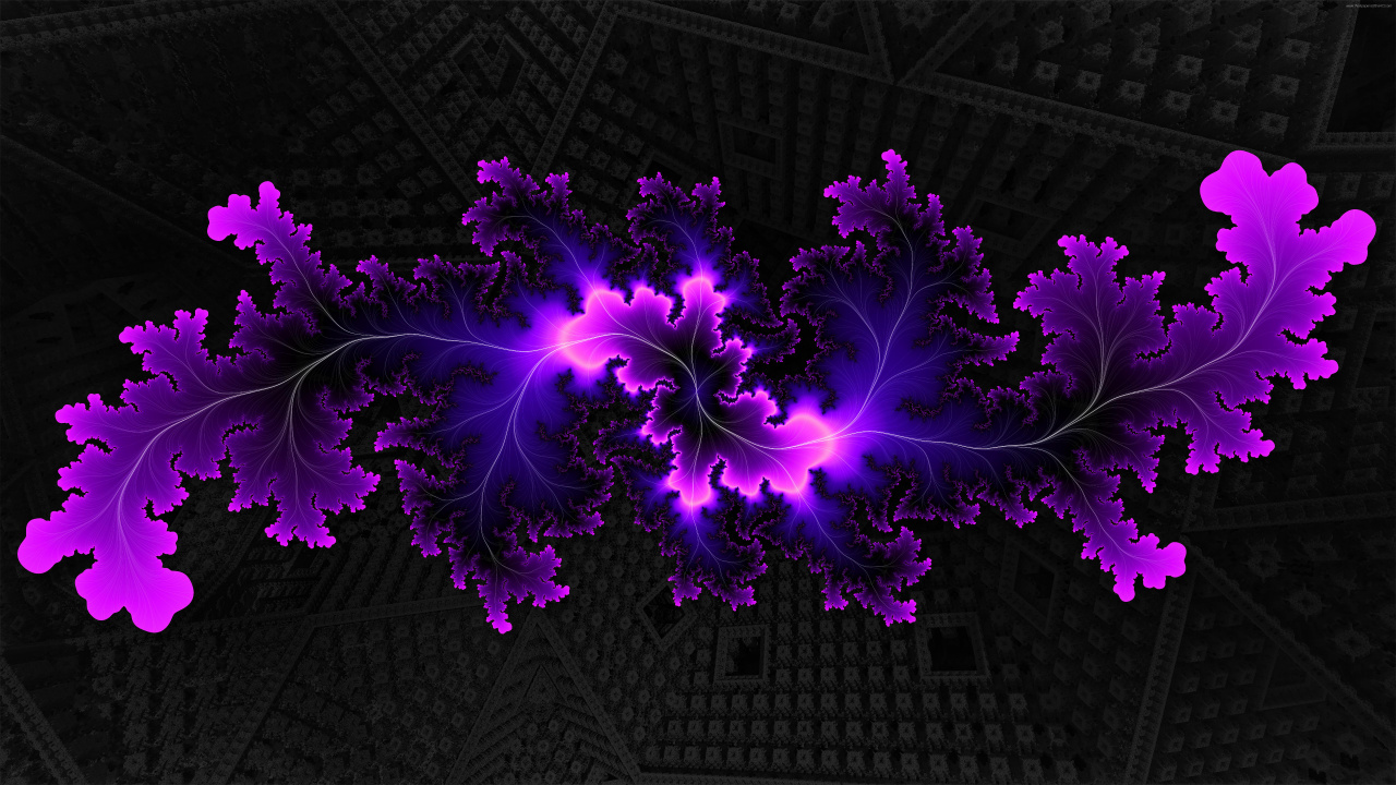 Purple Flower Petals on Black and White Textile. Wallpaper in 1280x720 Resolution