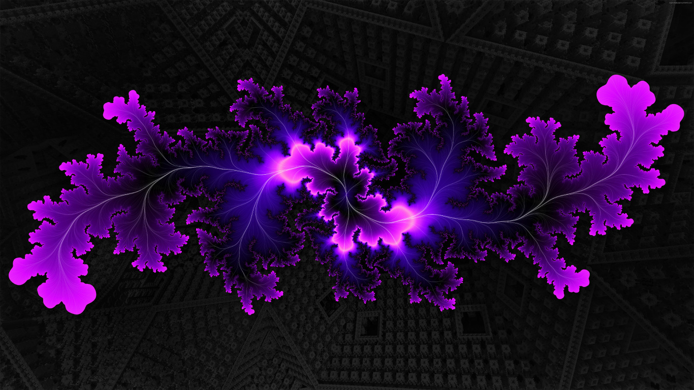 Purple Flower Petals on Black and White Textile. Wallpaper in 1366x768 Resolution
