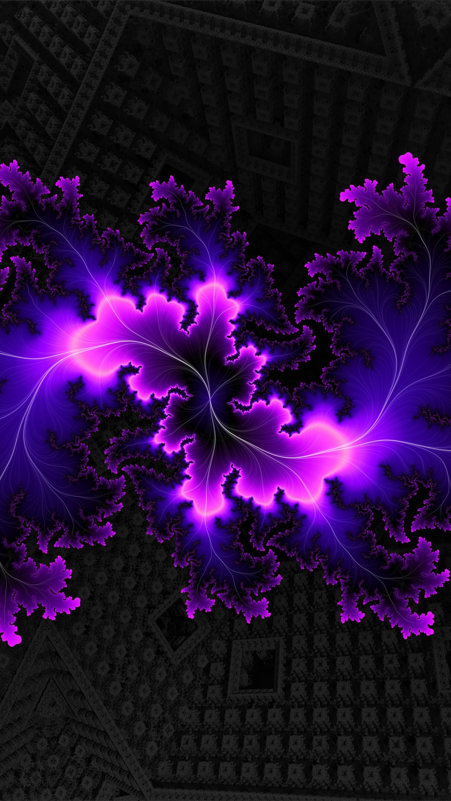 Purple Flower Petals on Black and White Textile. Wallpaper in 1440x2560 Resolution