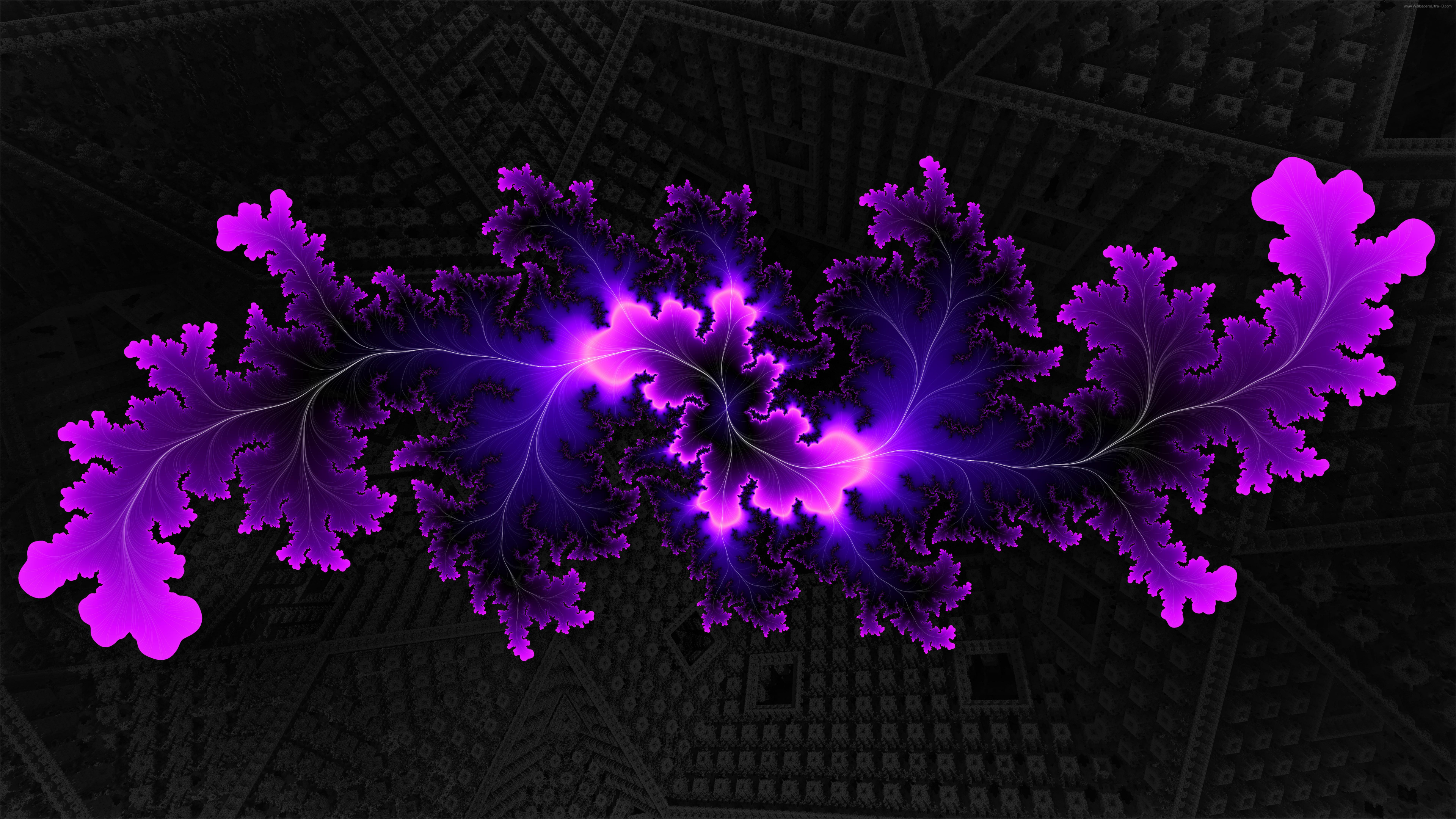 Purple Flower Petals on Black and White Textile. Wallpaper in 3840x2160 Resolution