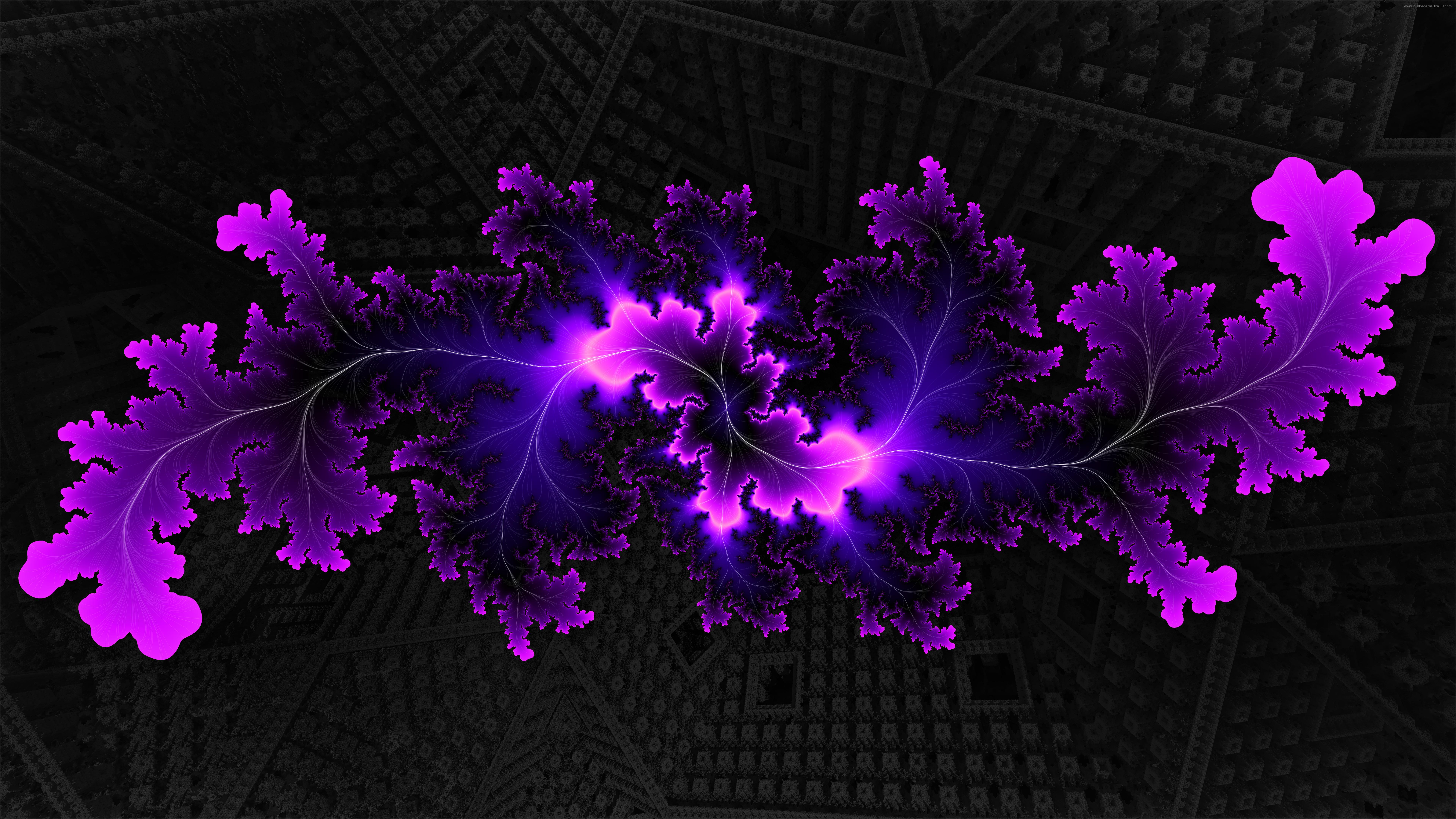 Purple Flower Petals on Black and White Textile. Wallpaper in 7680x4320 Resolution