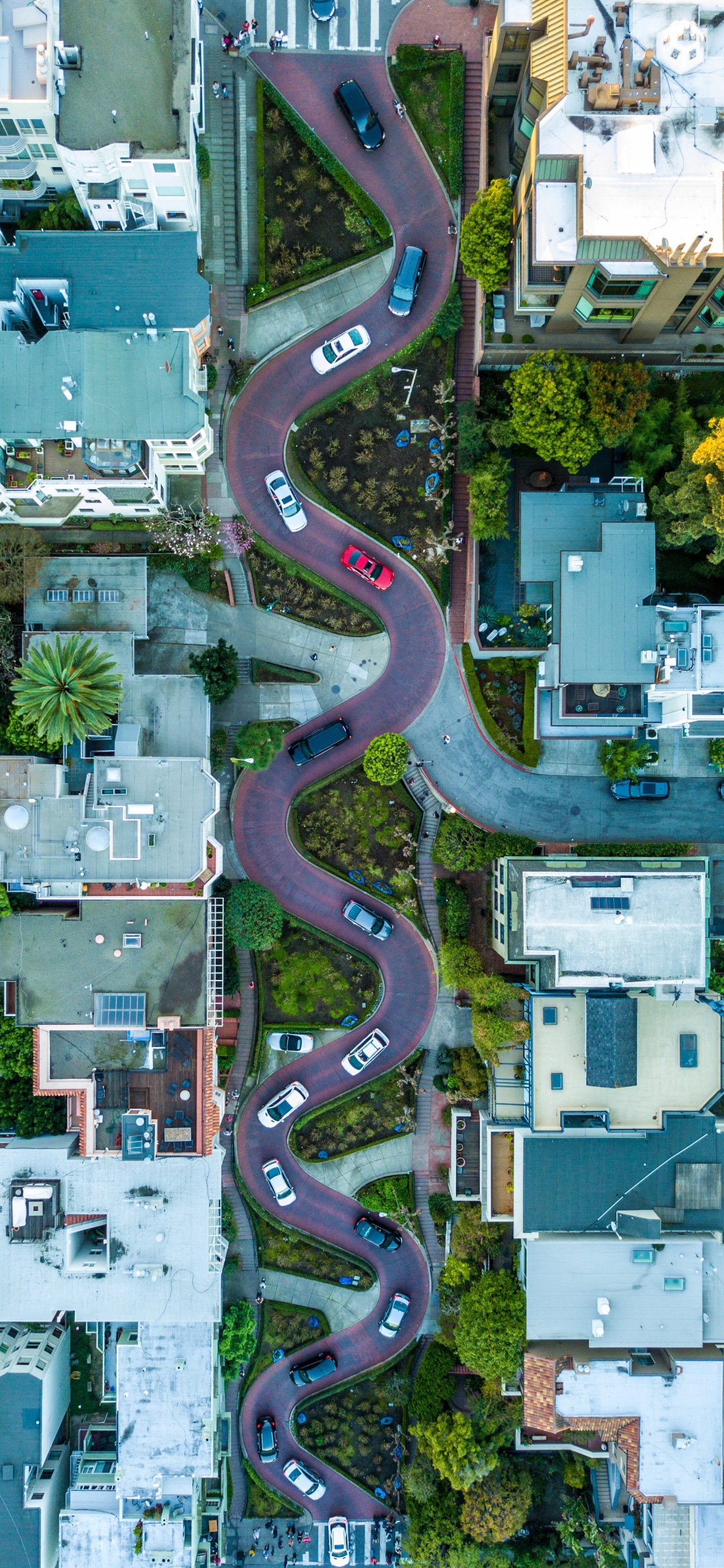Lombard Street, Golden Gate Bridge, Fishermans Wharf, Hyde Street, Alcatraz Island. Wallpaper in 1242x2688 Resolution