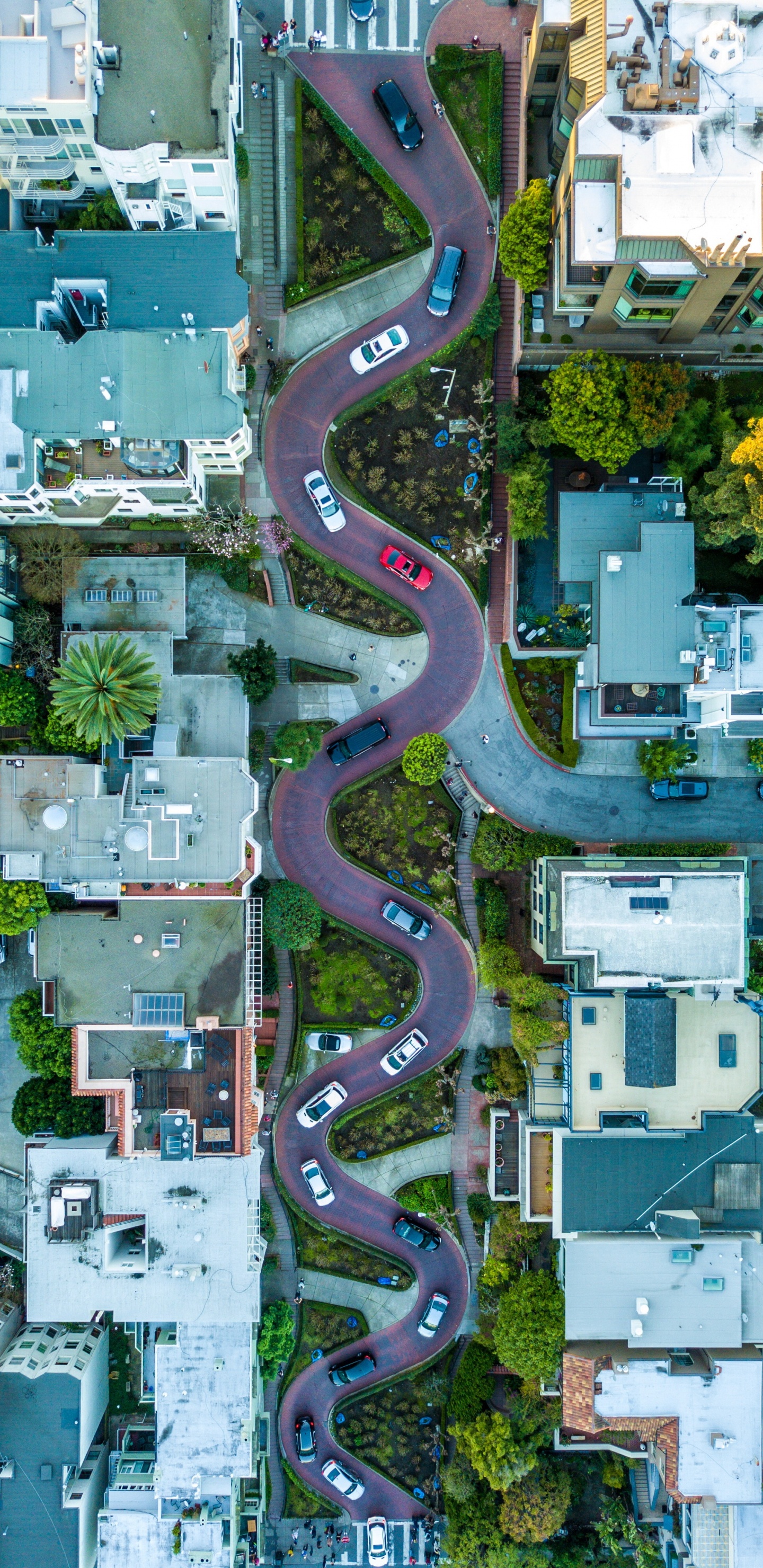 Lombardstraße, Golden Gate Bridge, Fishermans Wharf, Hyde Street, Alcatraz Island. Wallpaper in 1440x2960 Resolution