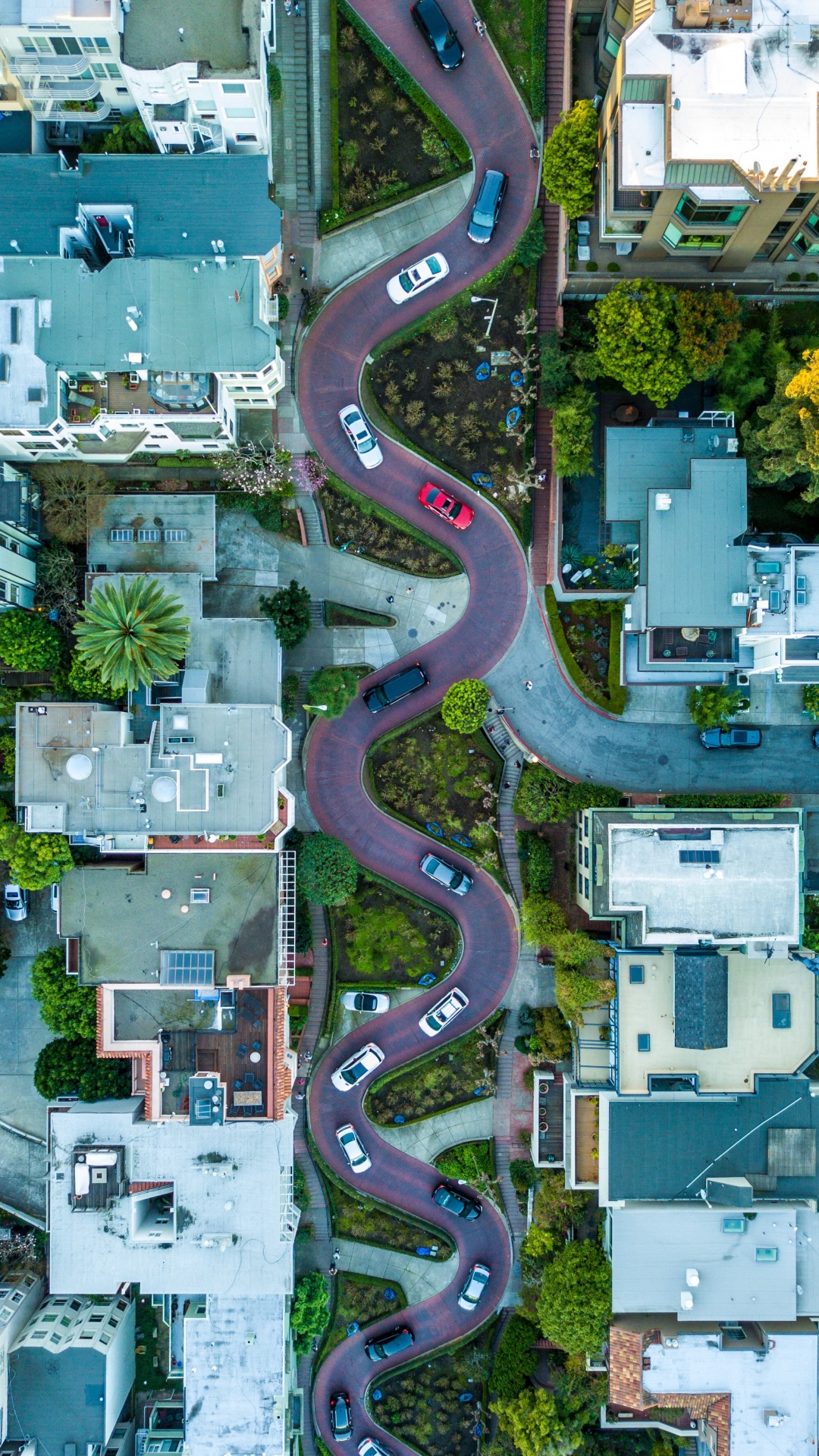 Rue Lombarde, Golden Gate Bridge, Quai de Pêcheur, Hyde Street, Île D'Alcatraz. Wallpaper in 1080x1920 Resolution