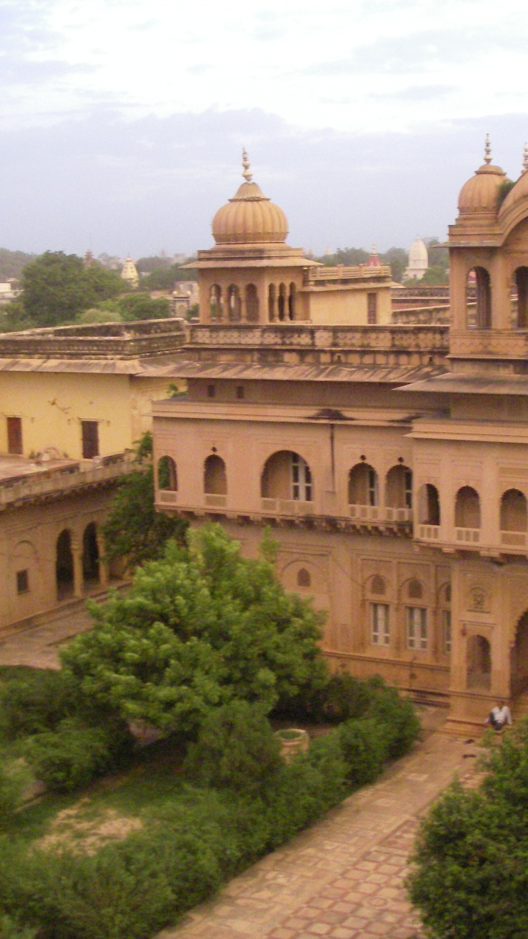 Beiges Betongebäude in Der Nähe Von Grünen Bäumen Tagsüber. Wallpaper in 1080x1920 Resolution