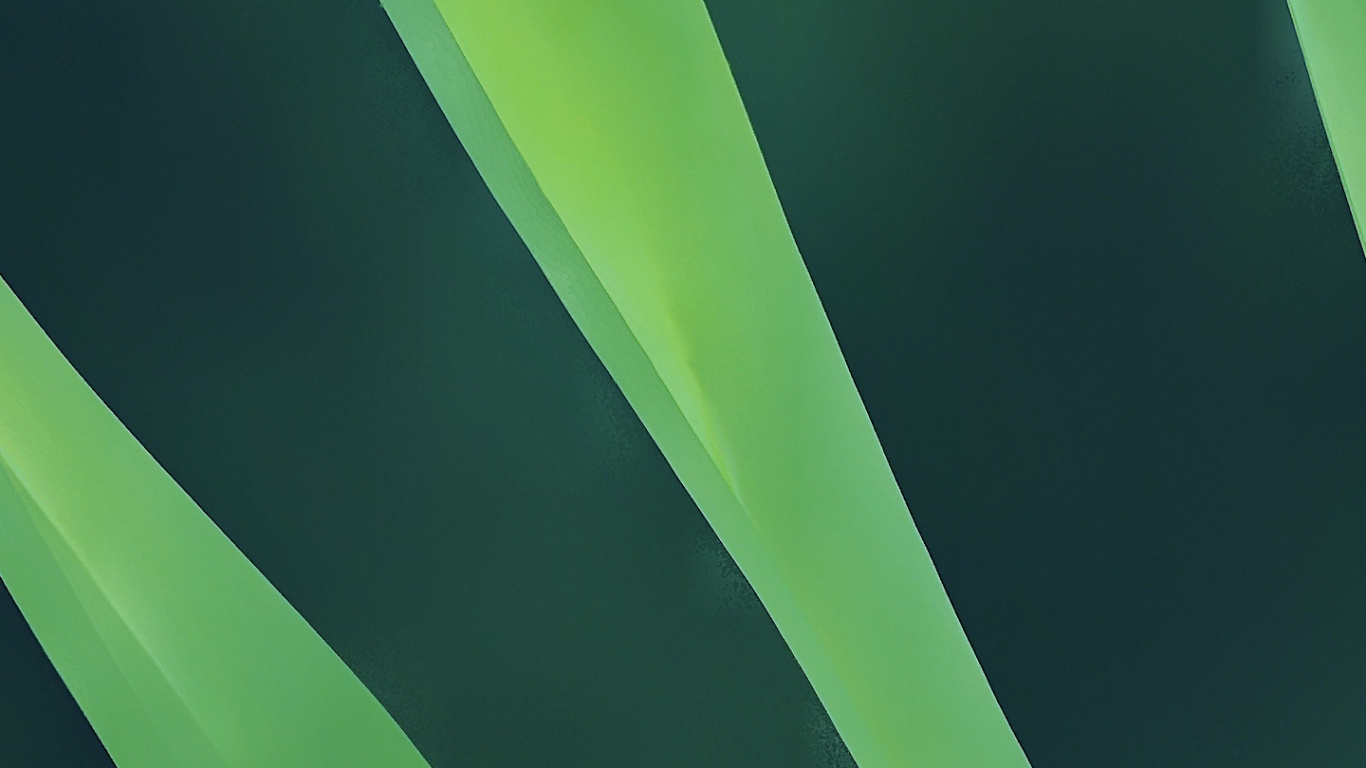 Leaf, Apples, Landscape, Hair, Plant. Wallpaper in 1366x768 Resolution