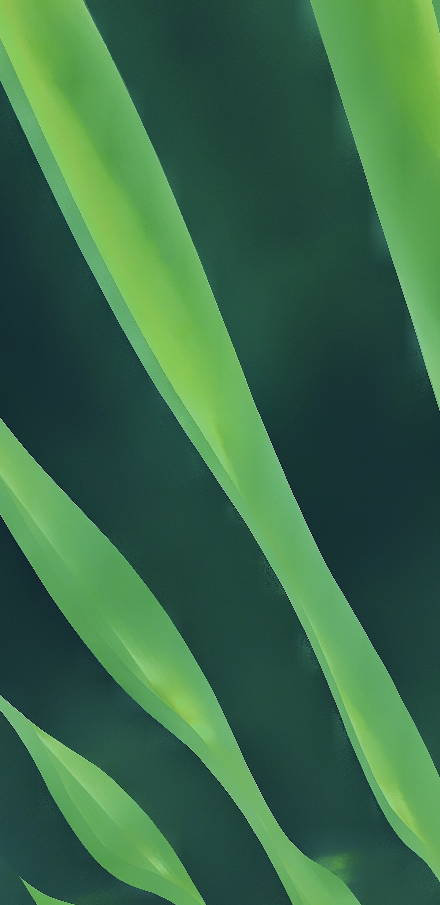 苹果, 头发, 陆地上的植物, 矩形, 草 壁纸 1440x2960 允许