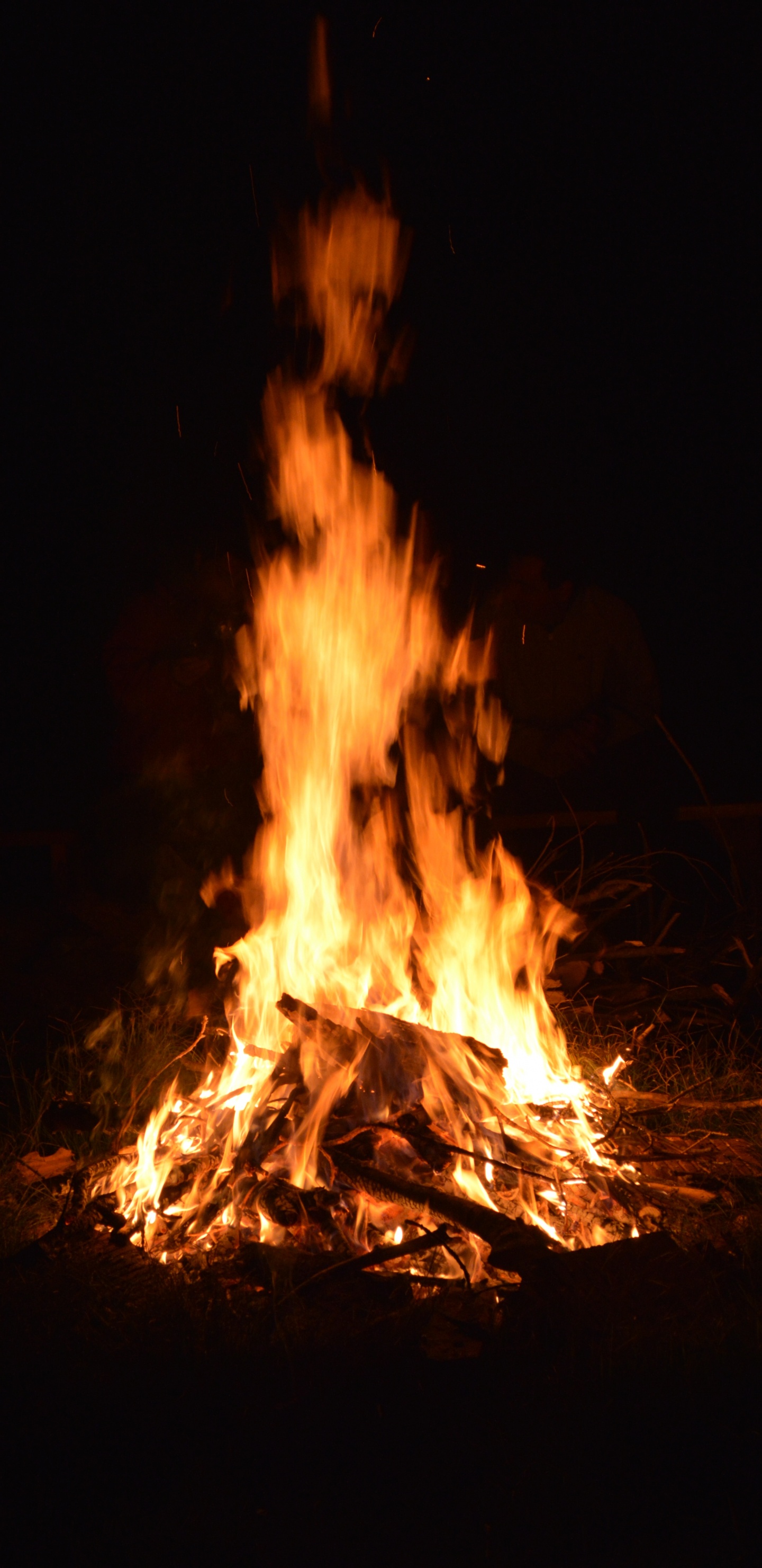 Verbrennen Von Holz in Der Nacht. Wallpaper in 1440x2960 Resolution