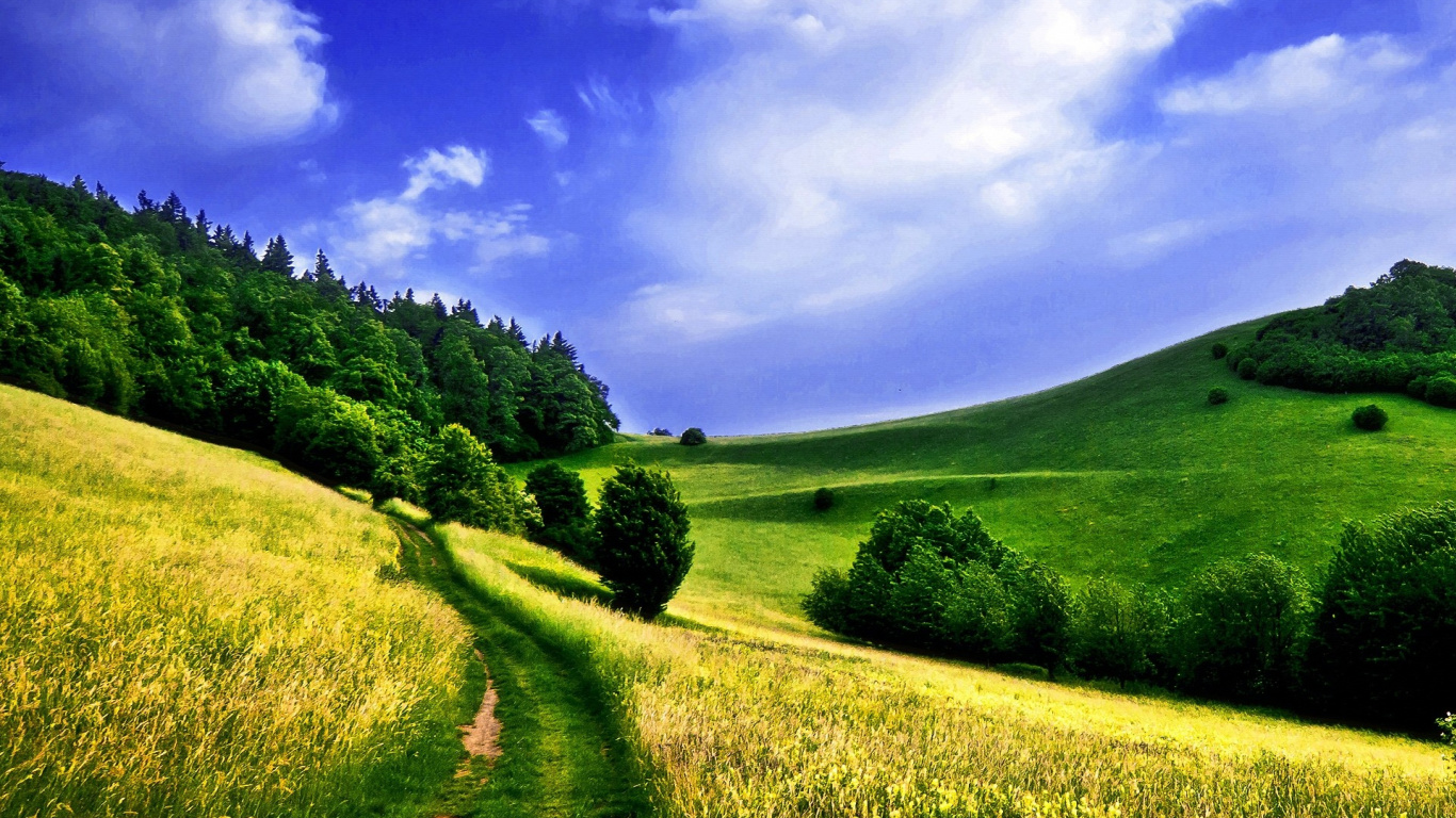 Campo de Hierba Verde Bajo un Cielo Azul Durante el Día. Wallpaper in 1366x768 Resolution