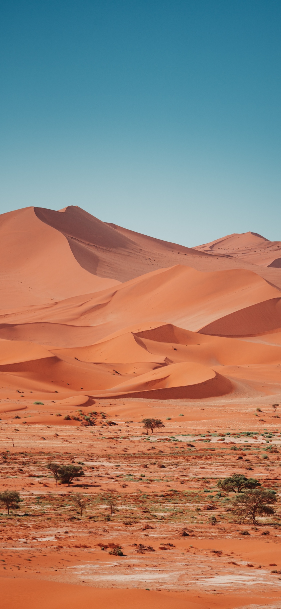 Erg, Reisebro Claudia Schnell, Brown, Natural Landscape, Terrain. Wallpaper in 1125x2436 Resolution