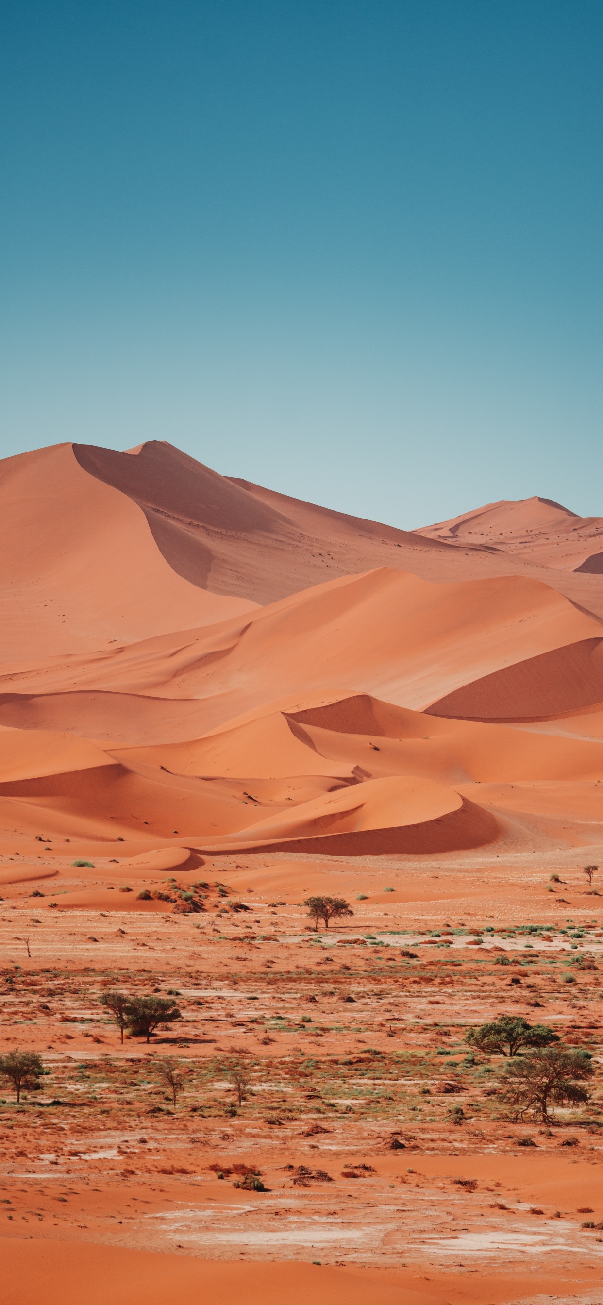 Erg, Reisebro Claudia Schnell, Brown, Natural Landscape, Terrain. Wallpaper in 1242x2688 Resolution