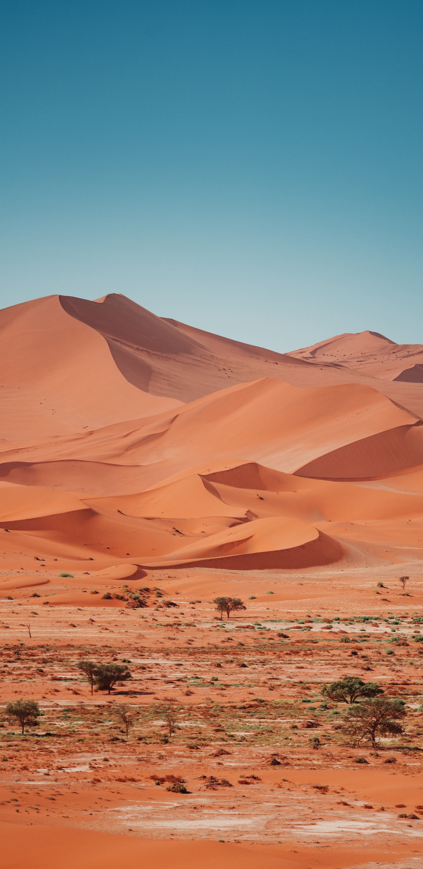 Erg, Reisebro Claudia Schnell, Brown, Natural Landscape, Terrain. Wallpaper in 1440x2960 Resolution