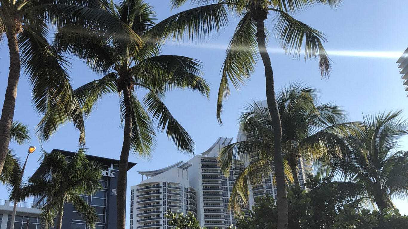 Miami, Palm Trees, Real Estate, Date Palm, Condominium. Wallpaper in 1366x768 Resolution