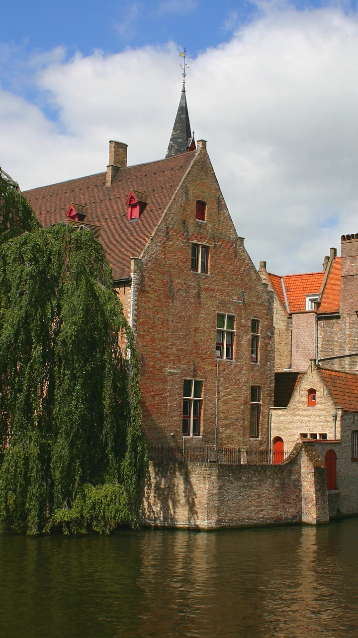 Bâtiment en Béton Brun à Côté D'arbres Verts et D'un Plan D'eau Pendant la Journée. Wallpaper in 720x1280 Resolution