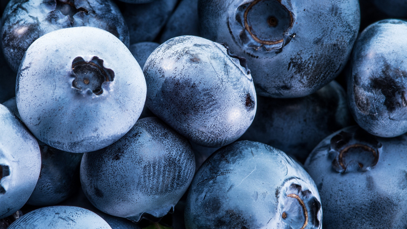 Blueberry, Berry, Blueberry Cake, Fruit, Strawberry. Wallpaper in 1366x768 Resolution